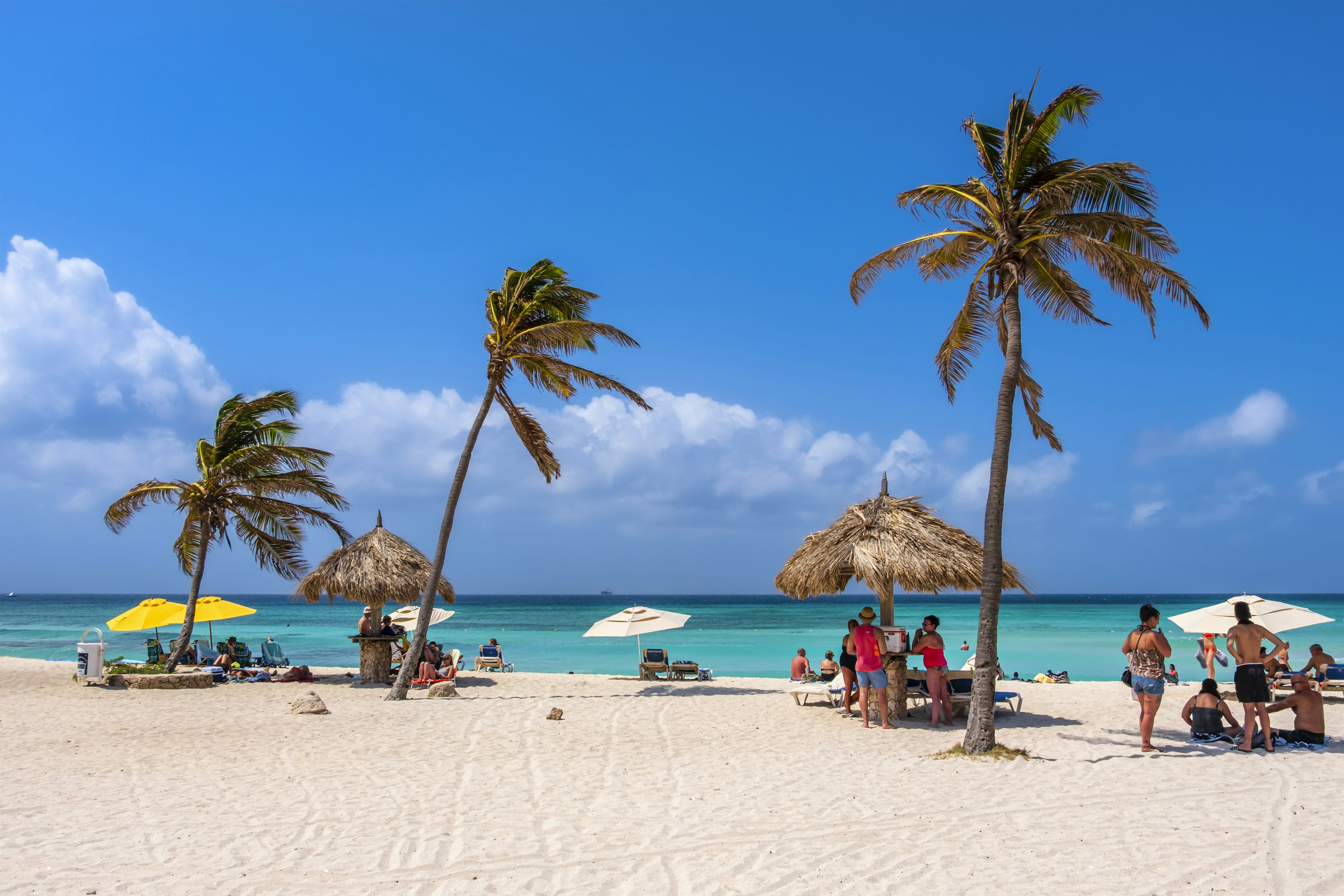 People enjoying a beautiful sunny day under sunshades and palm trees on a beach