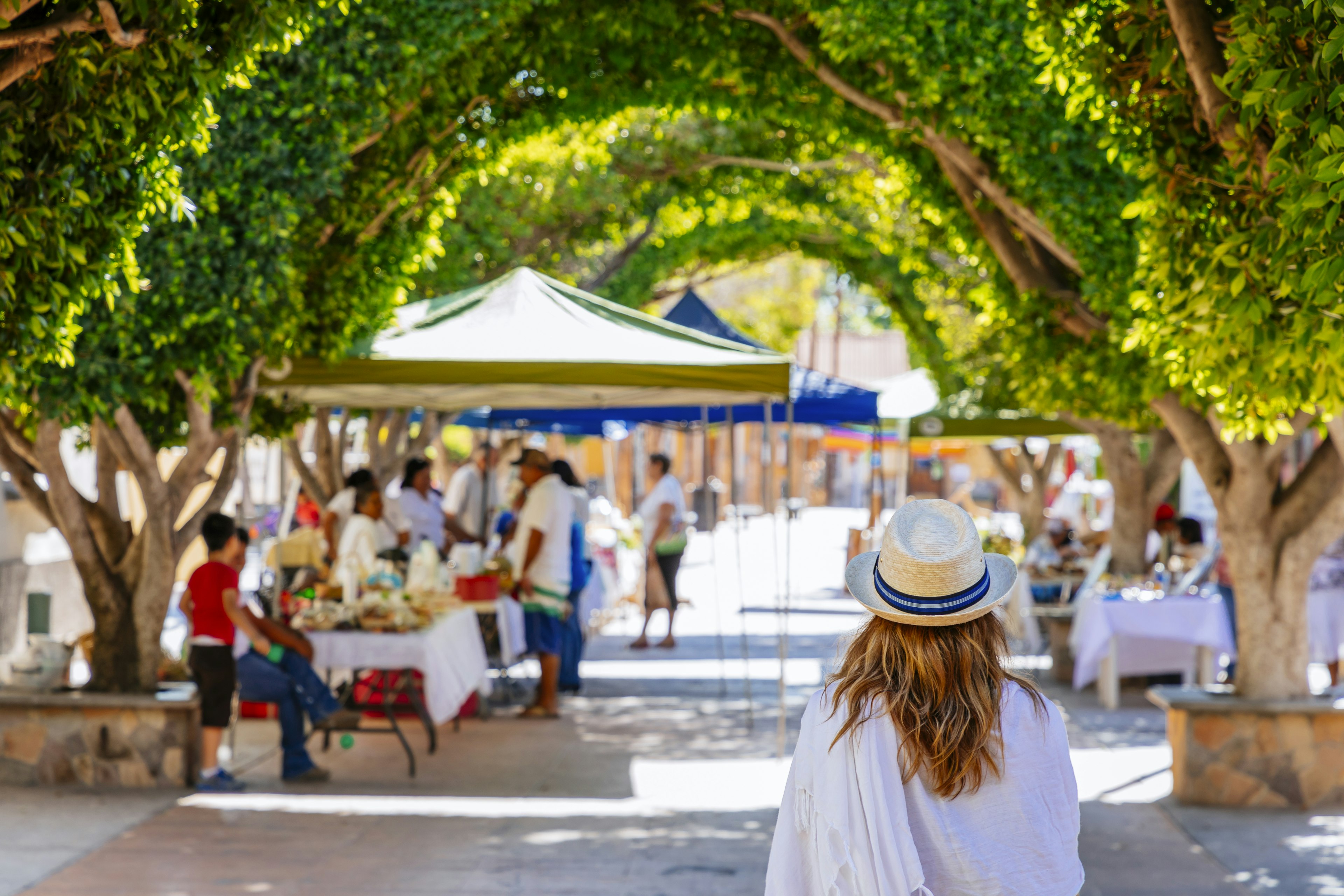 Tree covered pedestrian street in center of town of Loreto, Baja California Sur, Mexico