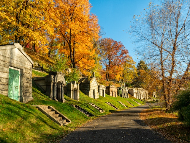 A path beside mausoleums in a cemetery with golden leaves on the surrounding trees