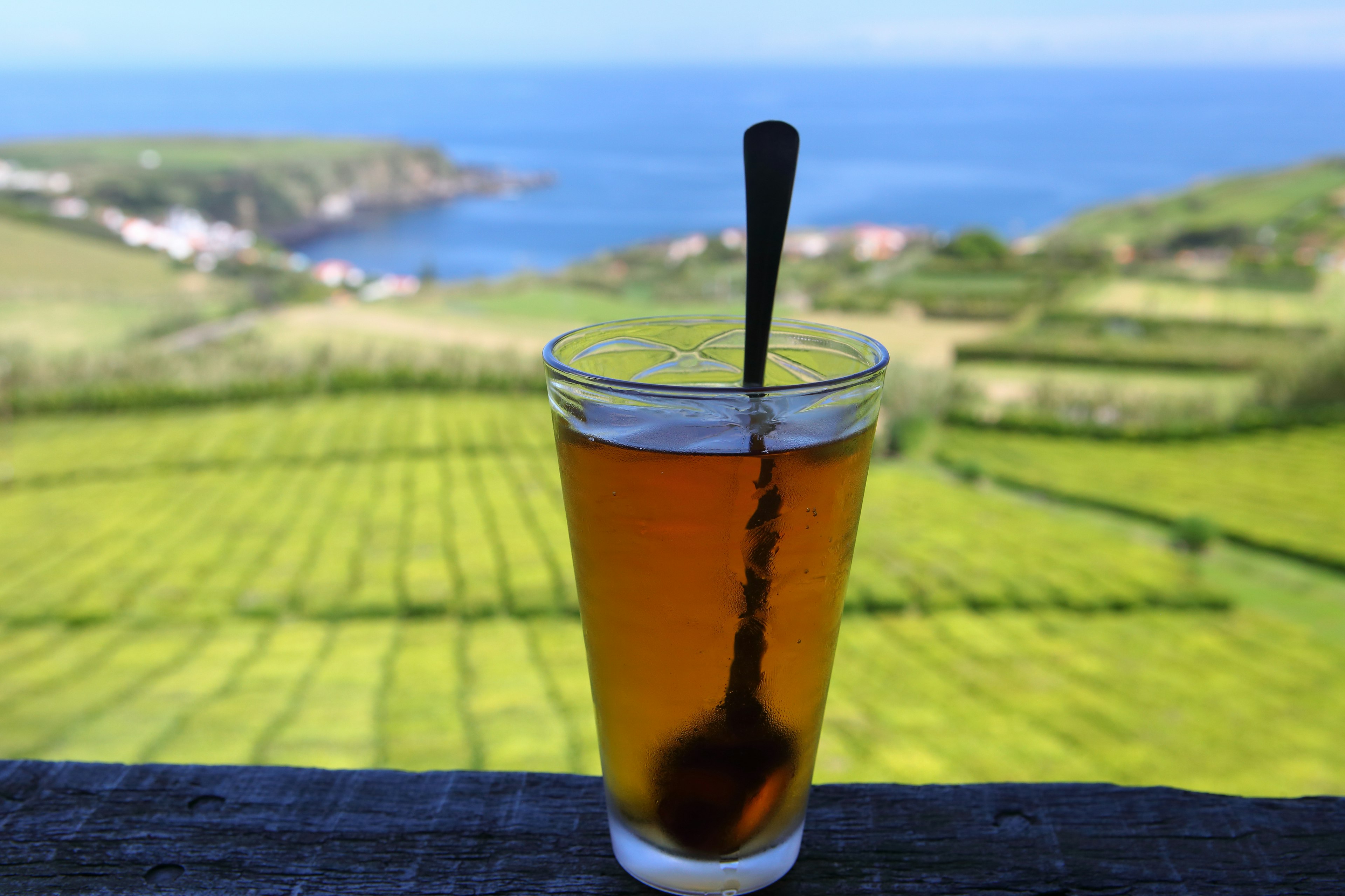 A glass of tea with a spoon in it standing on a shelf in front of neat rows within a tea plantation beside the sea