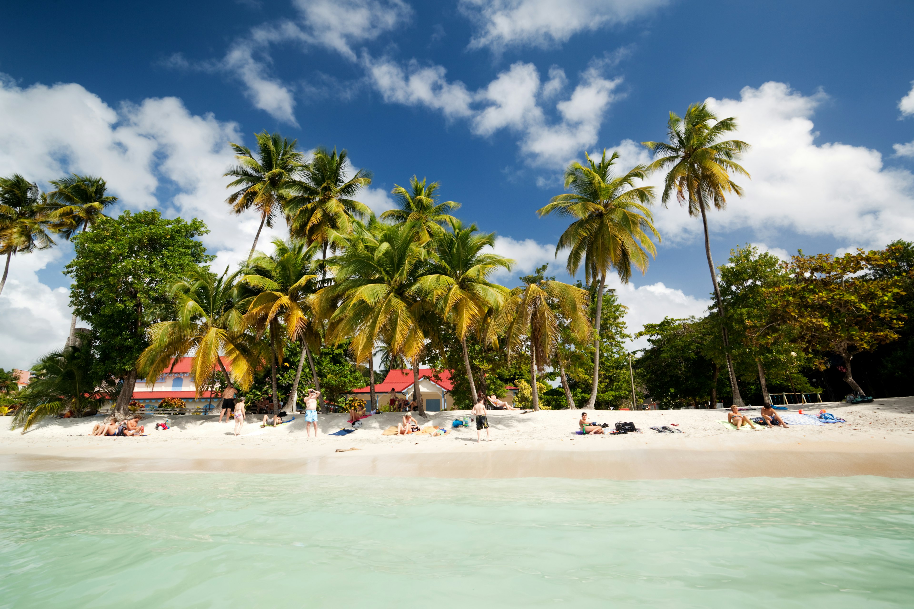 A view from the water of people relaxing on a white-sand beach fringed by palm trees in Martinque