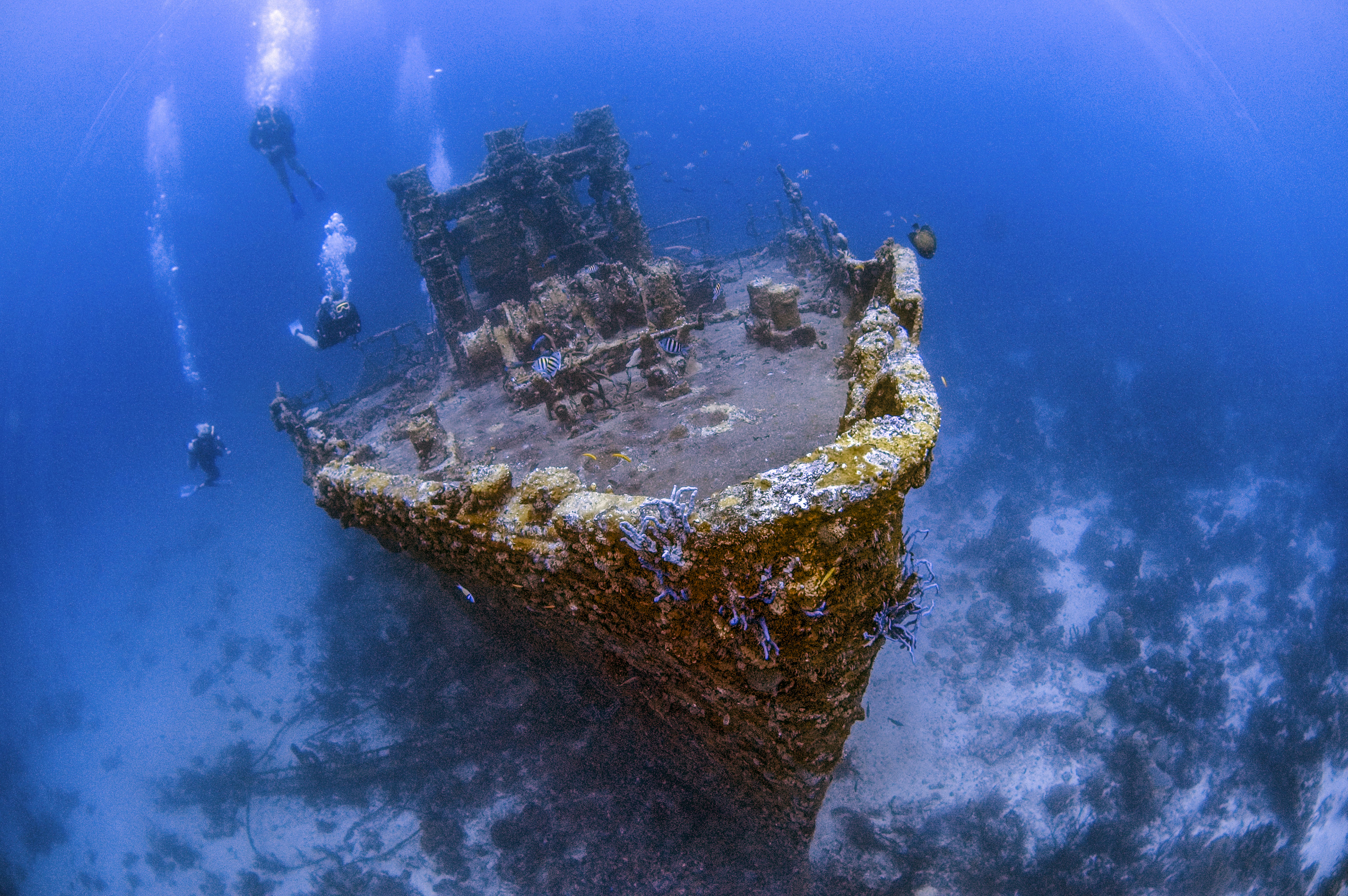 Scuba divers descend in blue waters to explore the rusted, coral-encrusted wreck of the Jayne C off the coast of Aruba