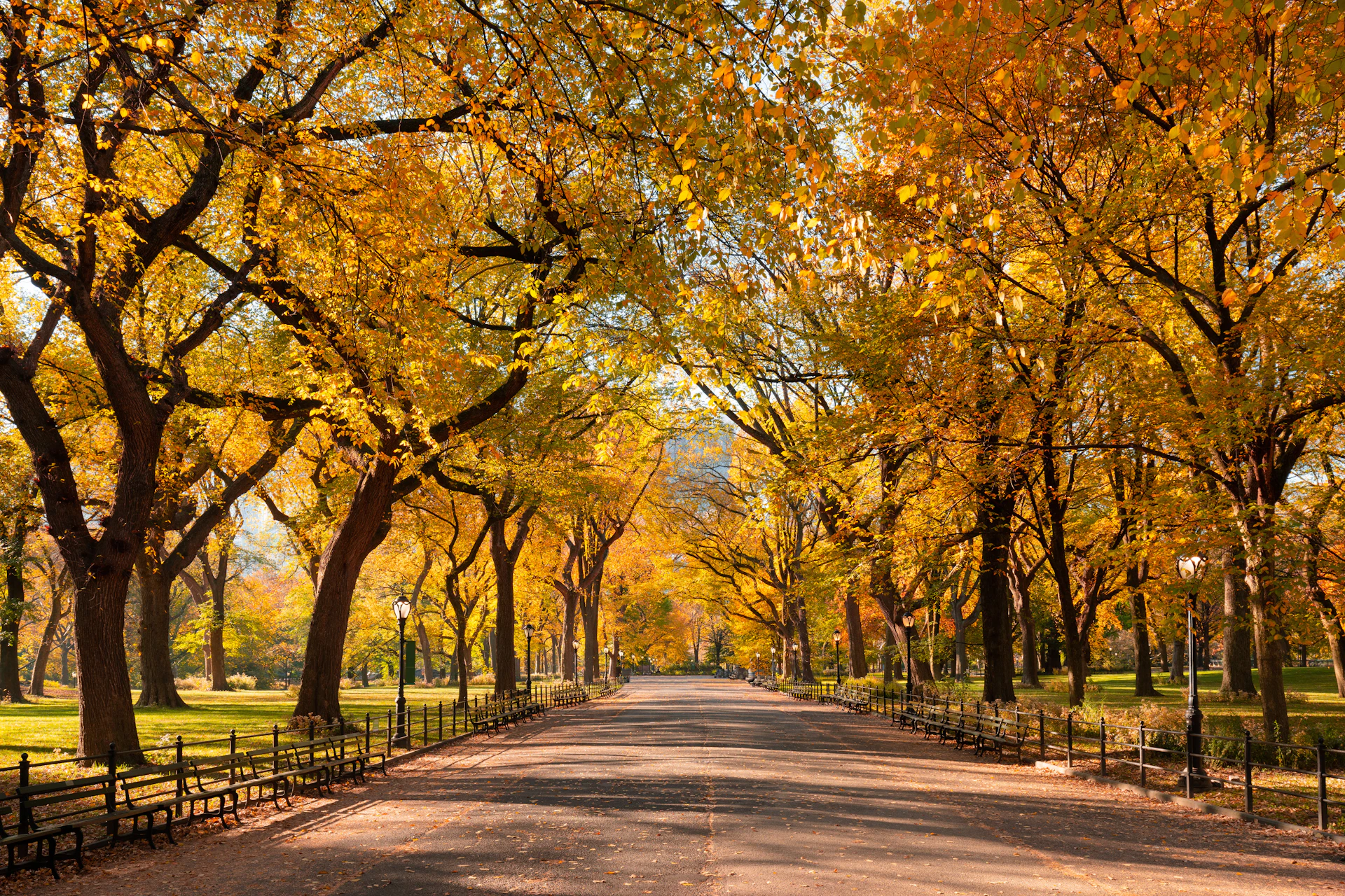 13 of the best things to do in NYC in fall - Lonely Planet