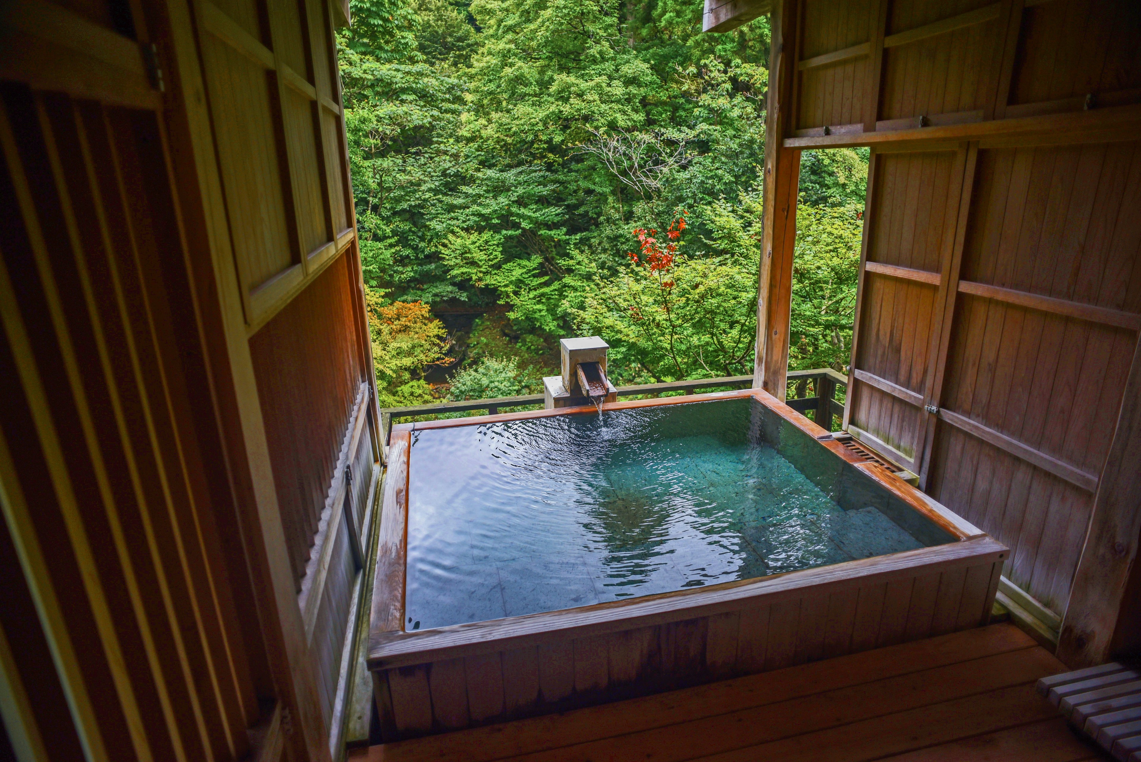 A pool with a view of trees at the Kayotei, a hot spring ryokan located in Yamanaka, considered one of the four best ryokan in Japan