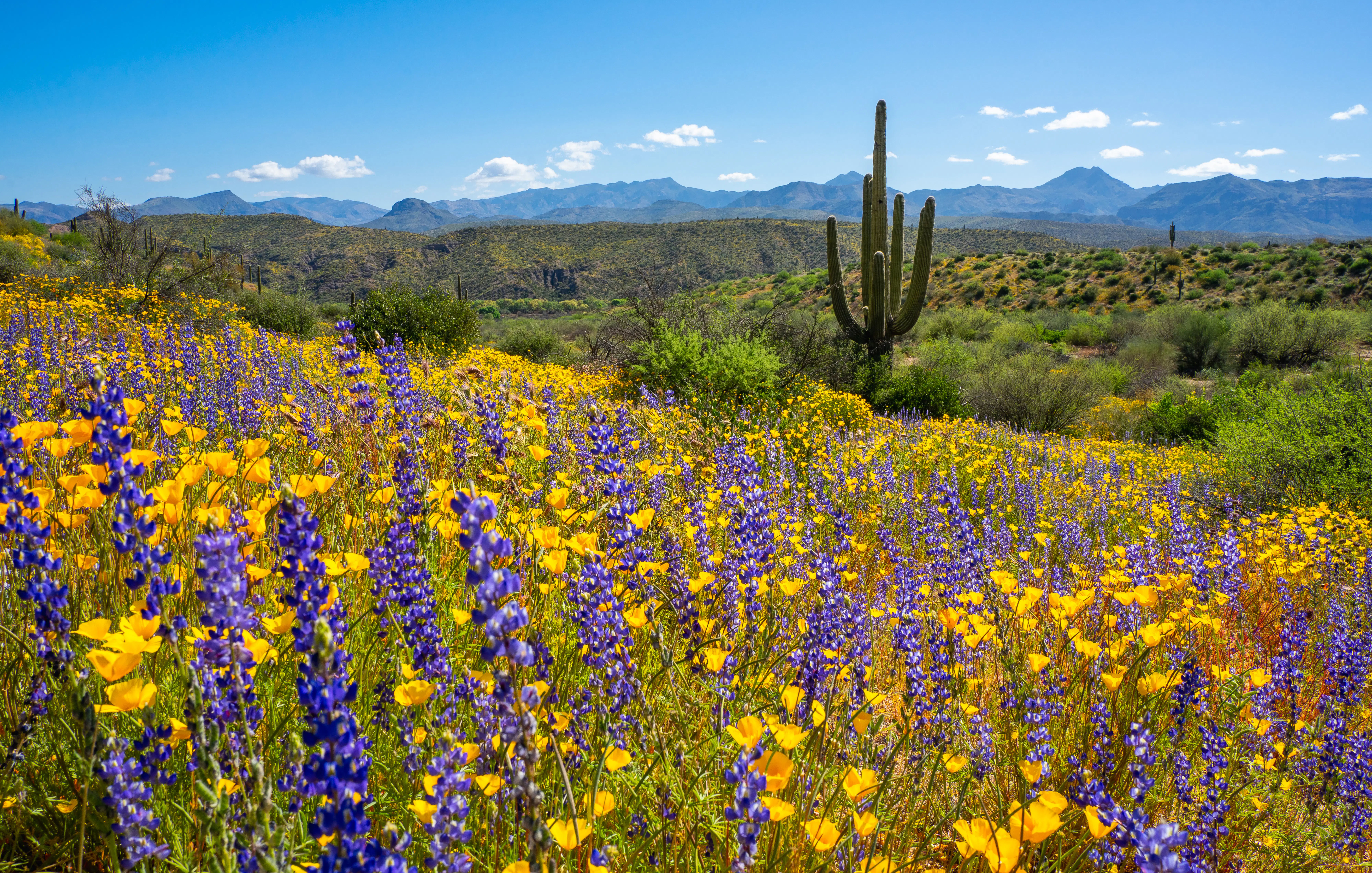 The best times to visit Arizona - Lonely Planet