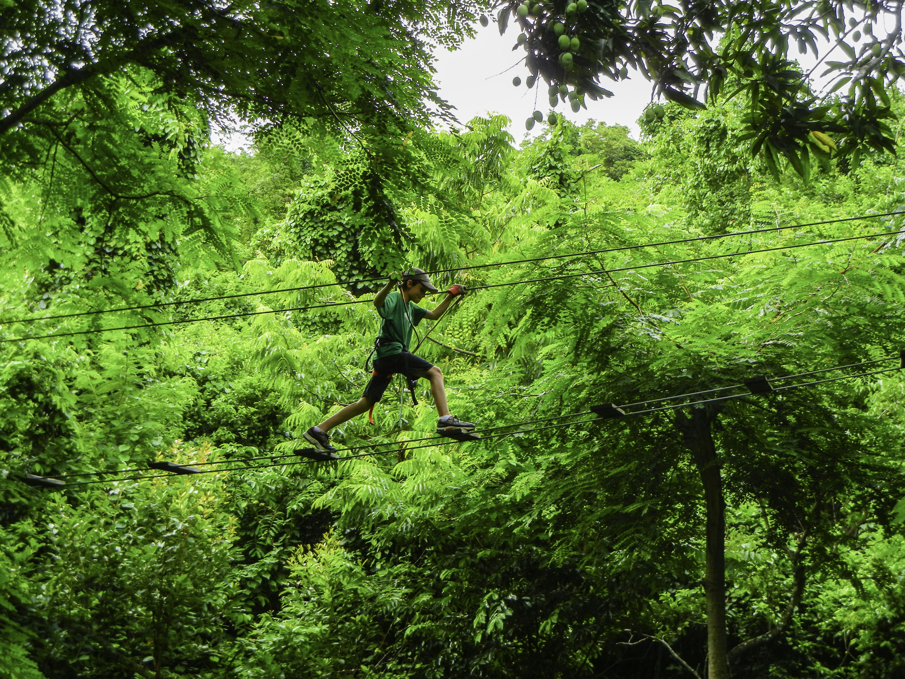 Young boy strecthing across a ropes course high in the jungle of Saint Martin in the Caribbean