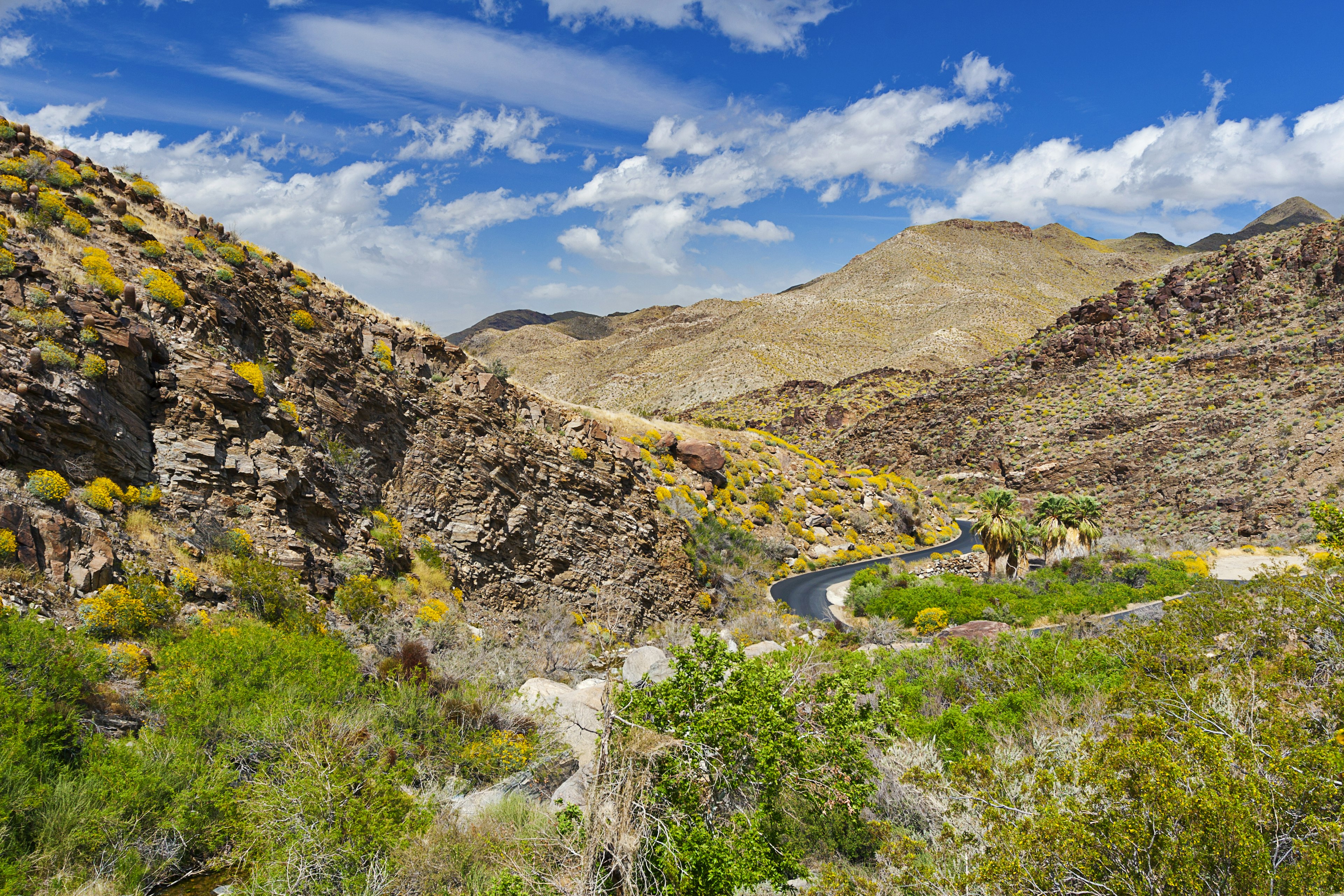 Palm Springs has tons of hiking to enjoy on cooler days. Getty