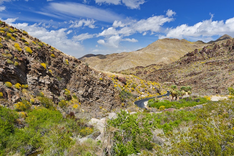 A firs-timer's guide to exploring palm Springs - Lonely Planet