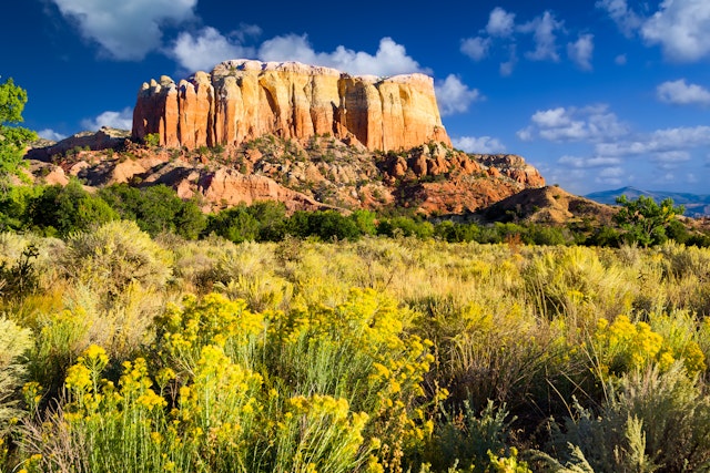 A late afternoon in the Red Rocks area of Northern New Mexico, with amazing colors visible in the rock formations behind a meadow of yellow flowers and green bushes