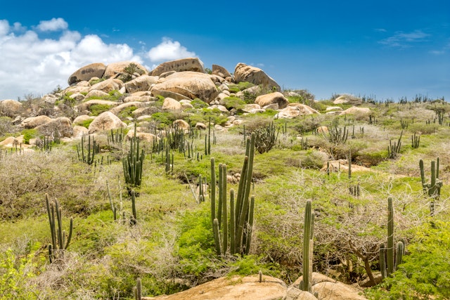 Ayo Rock formation and typical cacti under a blue sky at Arikok National Park, Aruba