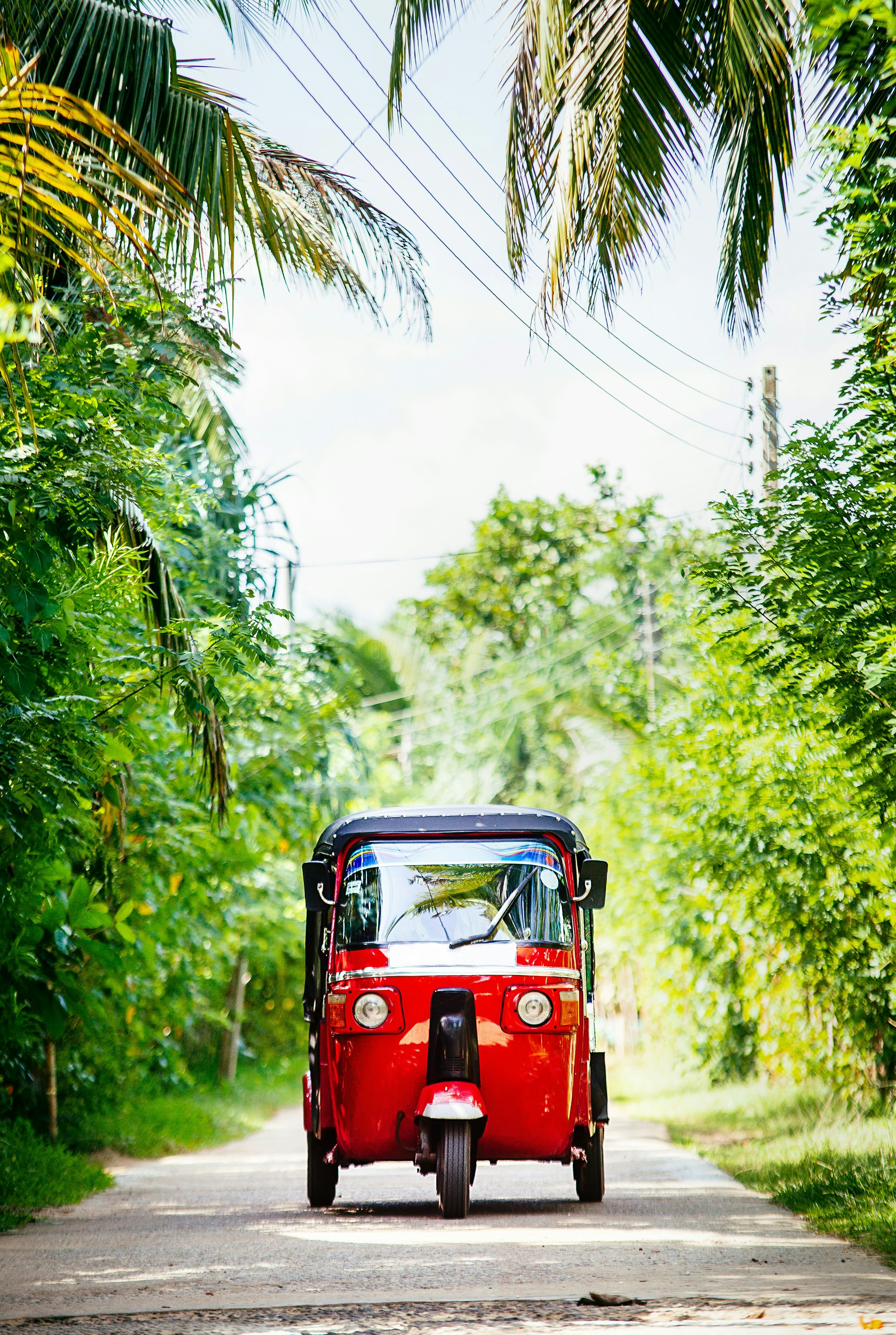 Red tuk-tuk under the palm trees on the country road.