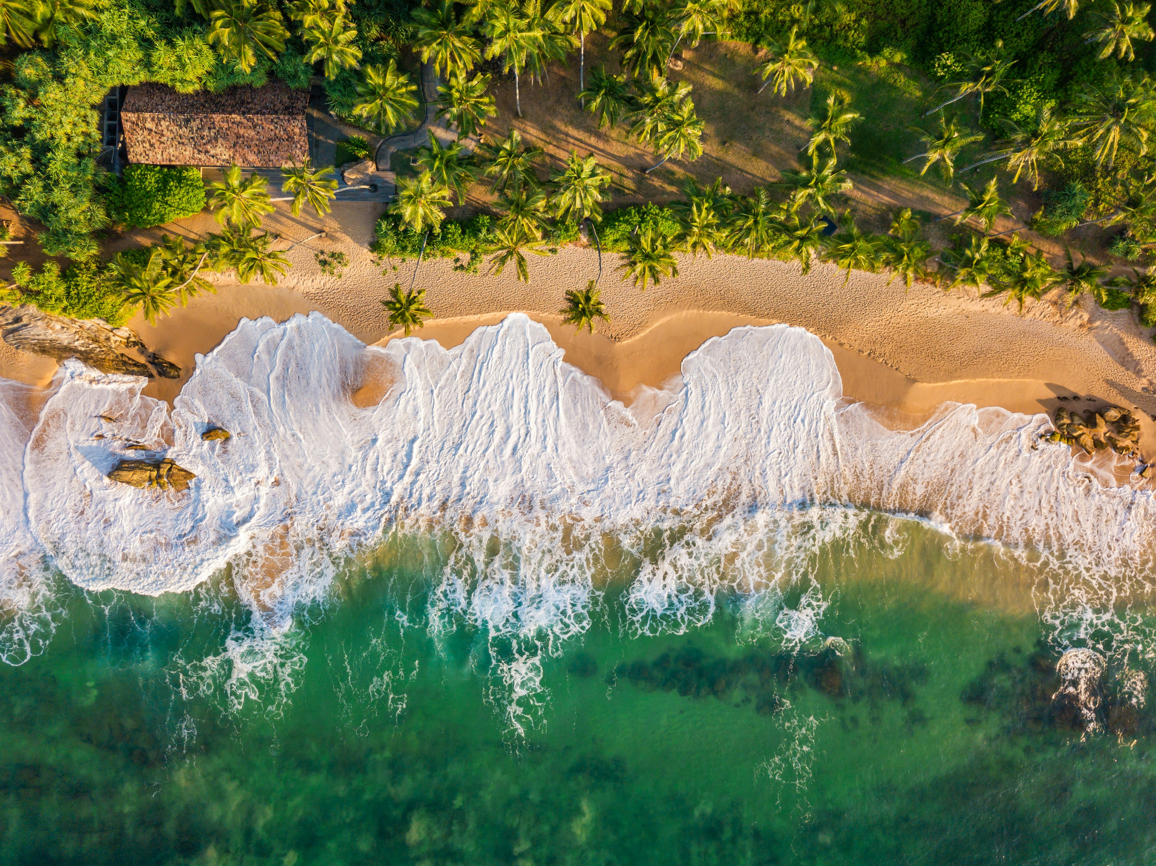 An aerial photo of a coast line with palm trees, sand, white surf and turquoise water