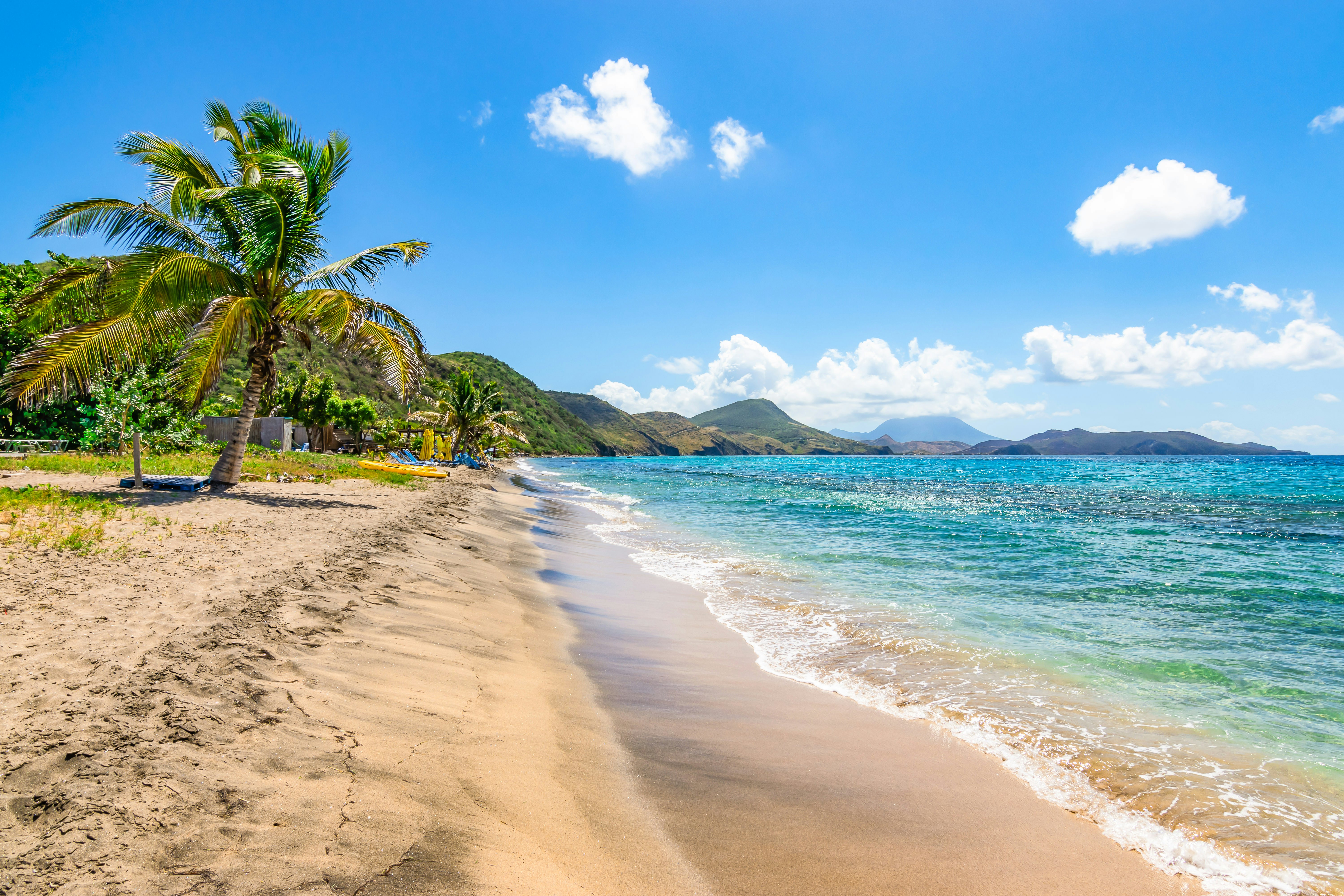 A sandy beach lined with palm trees in St Kitts