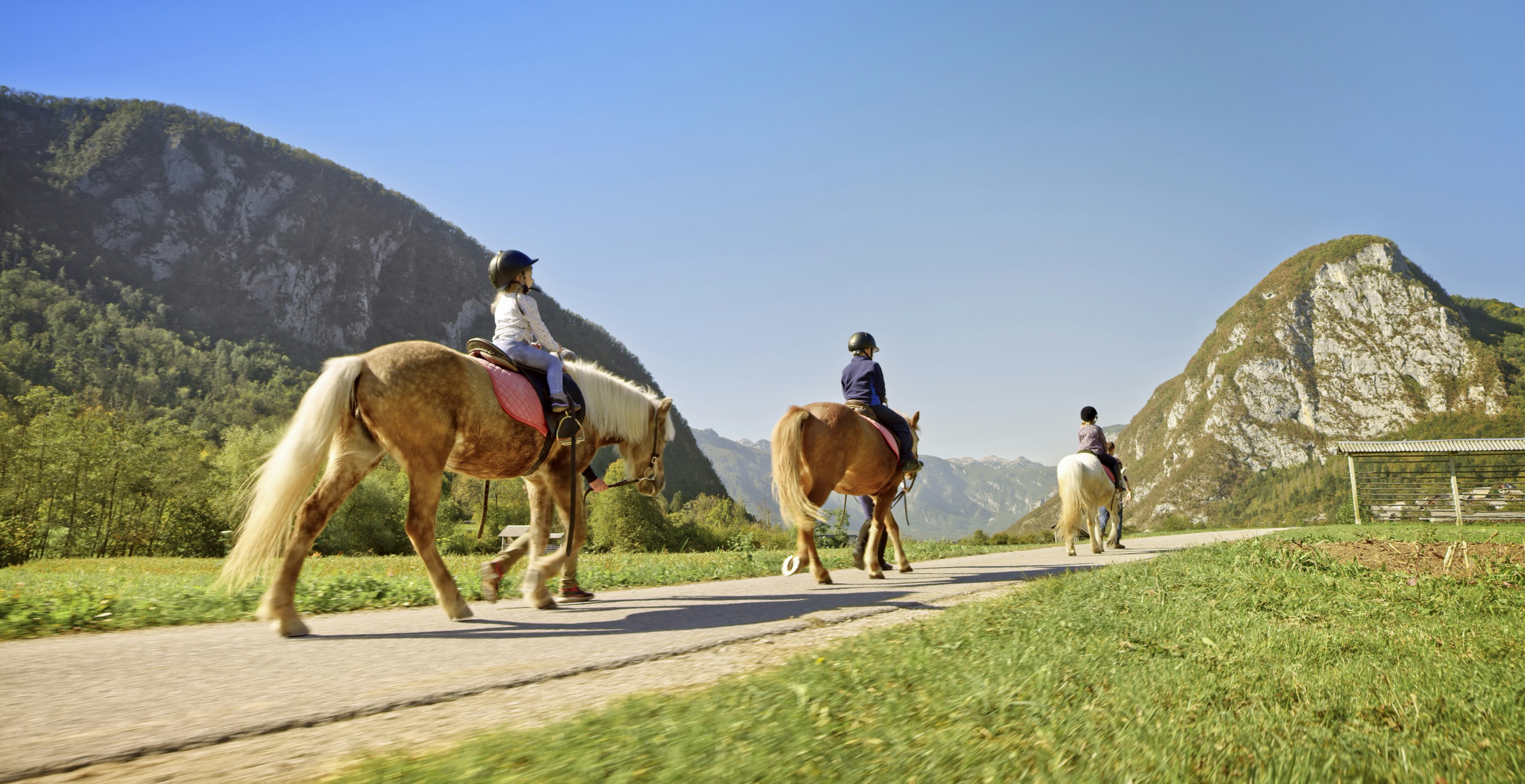 Panorama of children practising horseback riding with the help of their parents on a ranch.