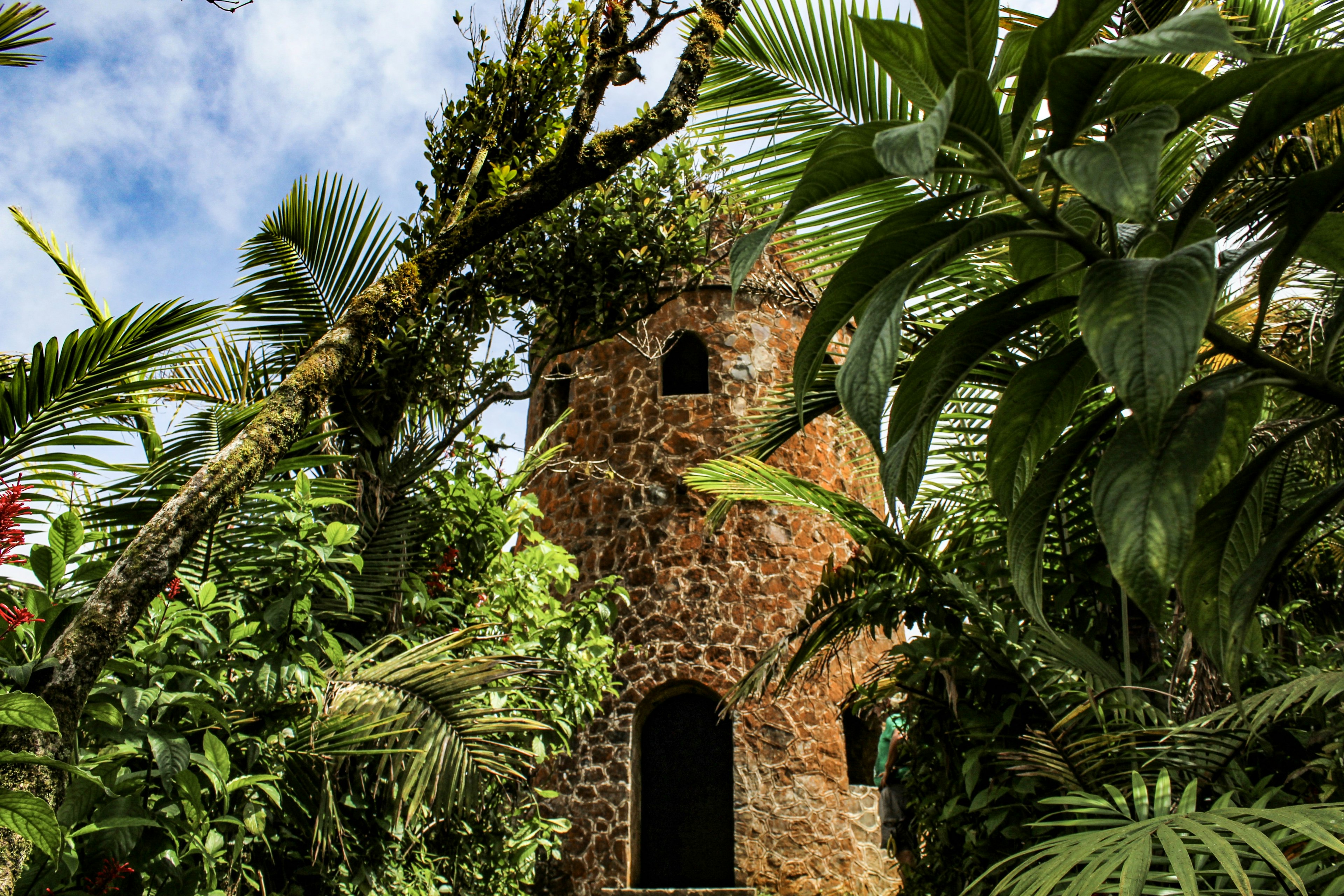 A stone tower in the midst of dense jungle foliage