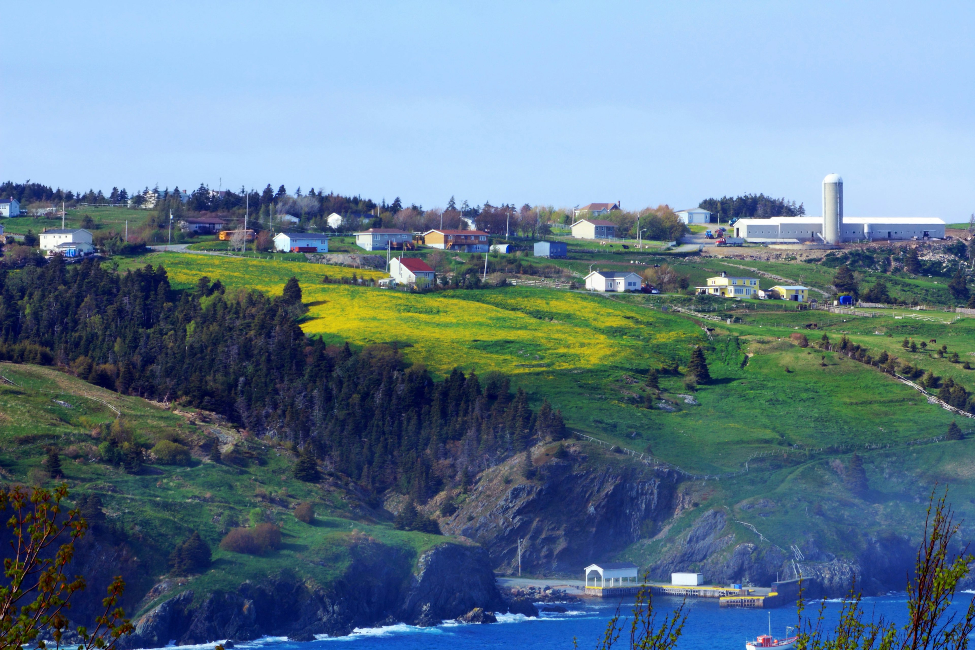 Avalon Peninsula with light mist off Atlantic Ocean in Newfoundland.