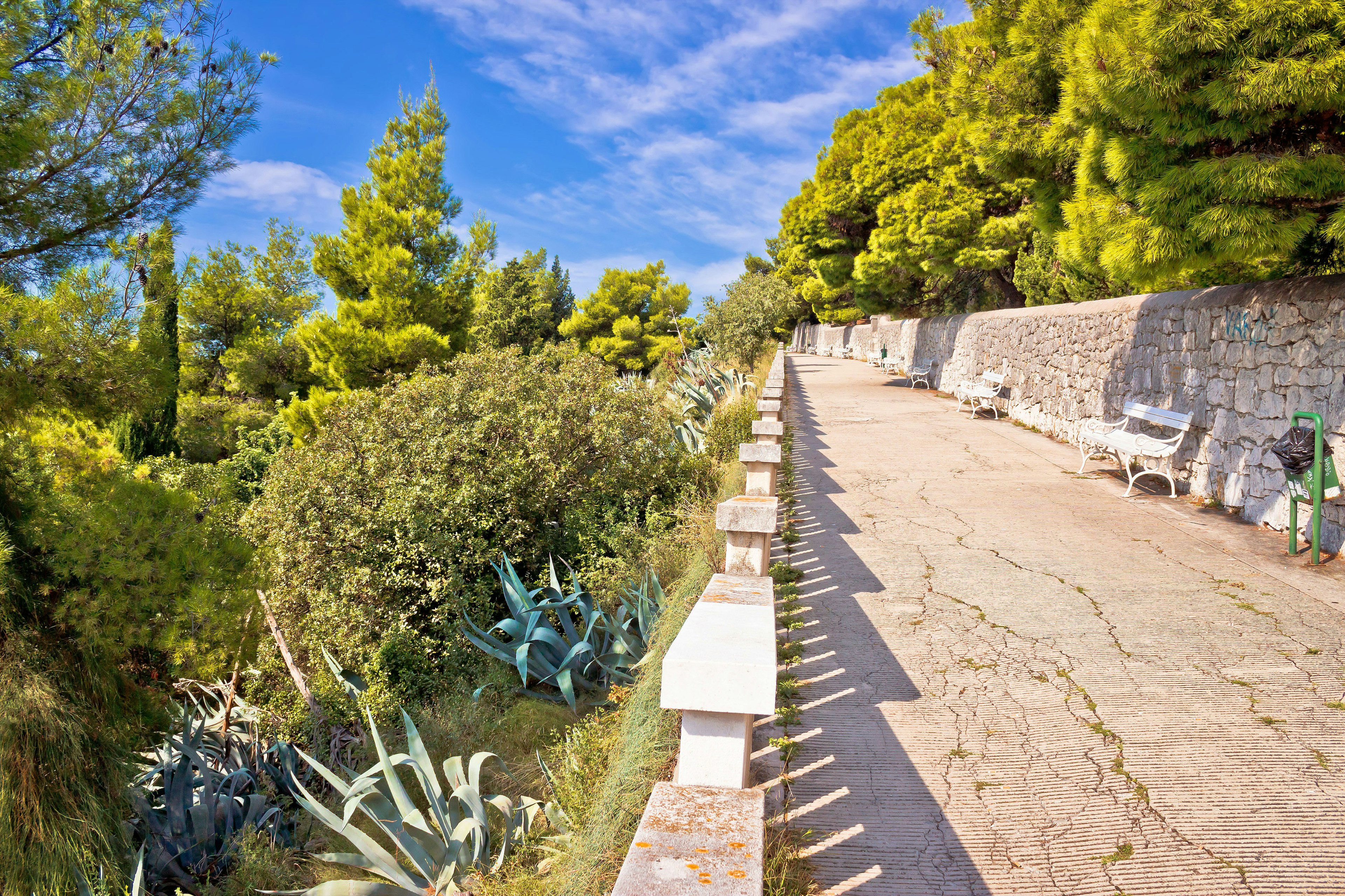 A leafy walkway on Marjan hill