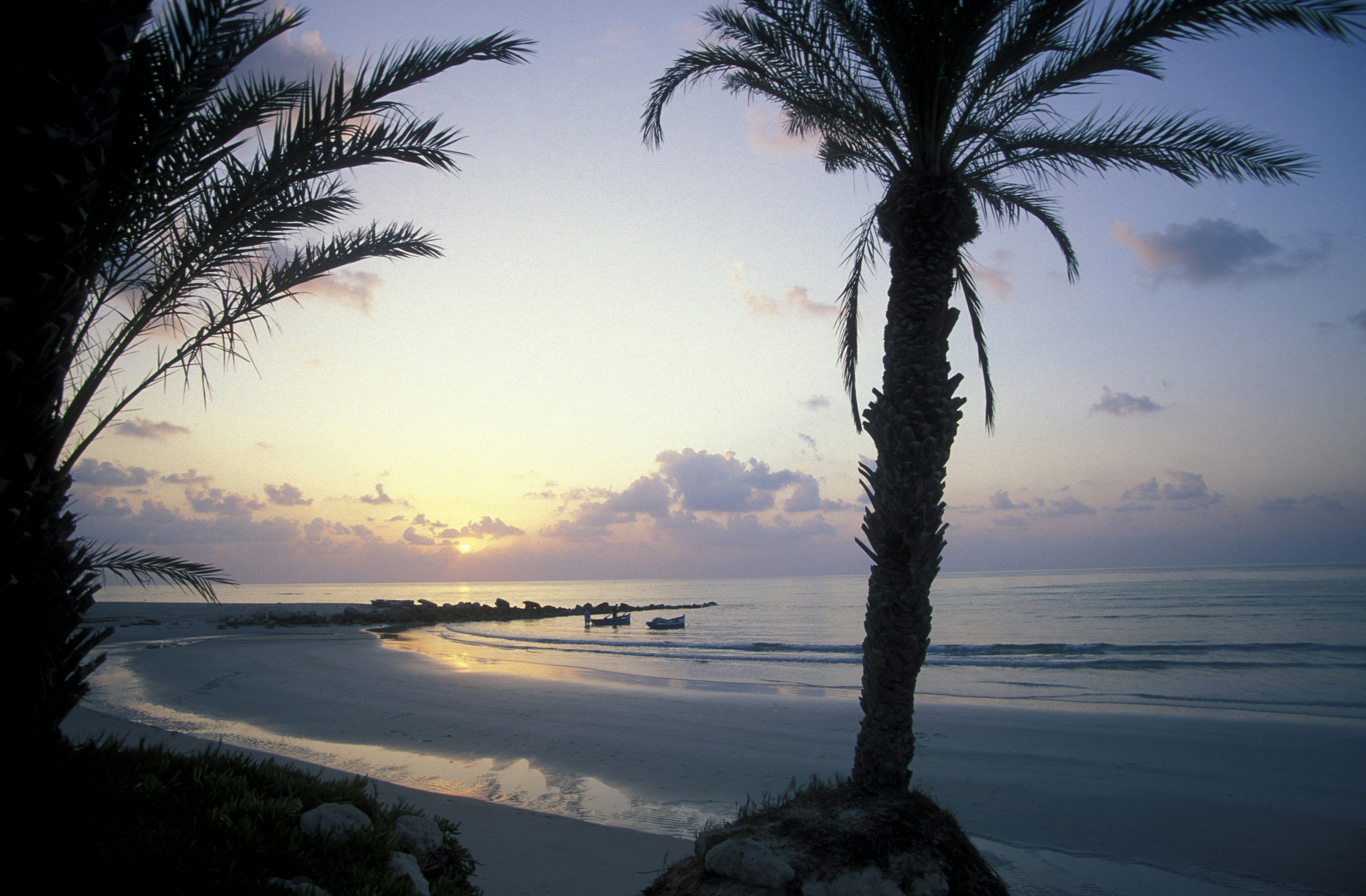 A sandy beach on the island of Jierba in the south of Tunisia in North Africa.