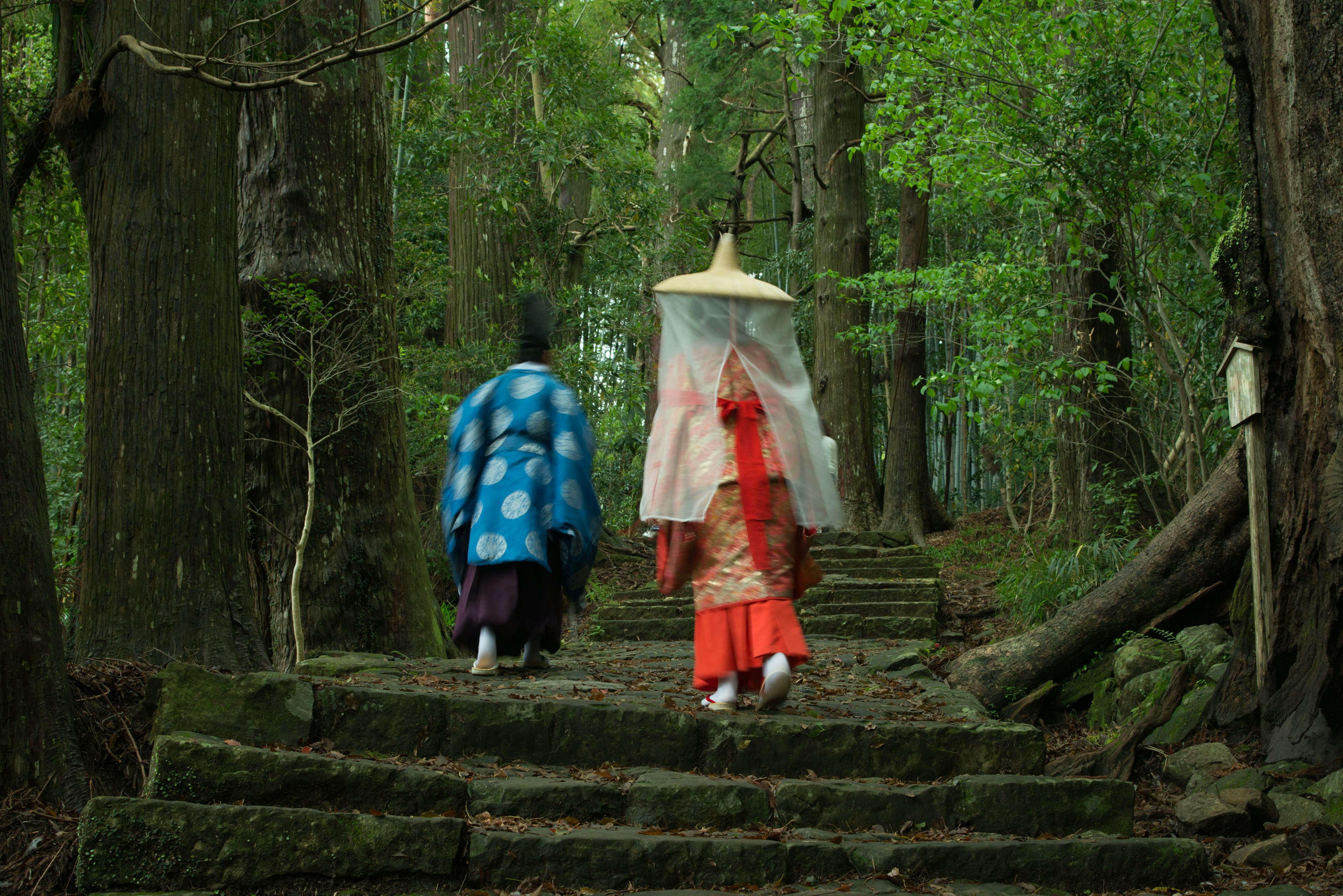 Pilgrims in traditional Japanese clothes walking on the Kumano Kodō pilgrimage trail through lush forest.