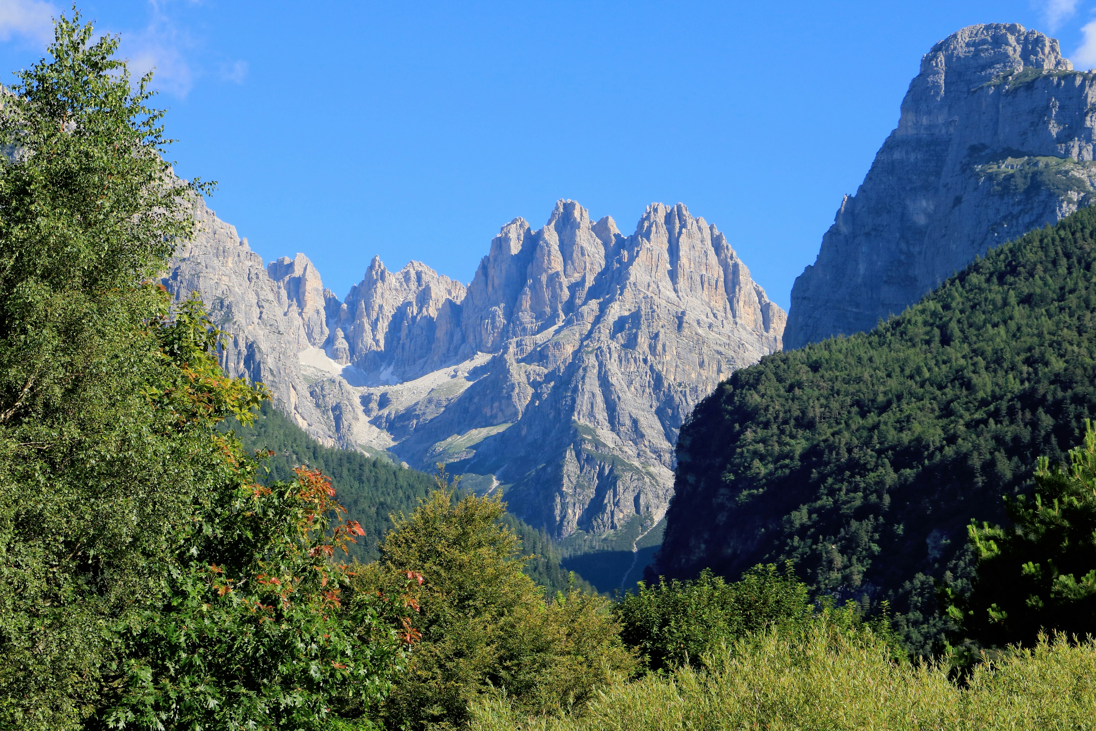 Rocky mountains and forests near Molveno.