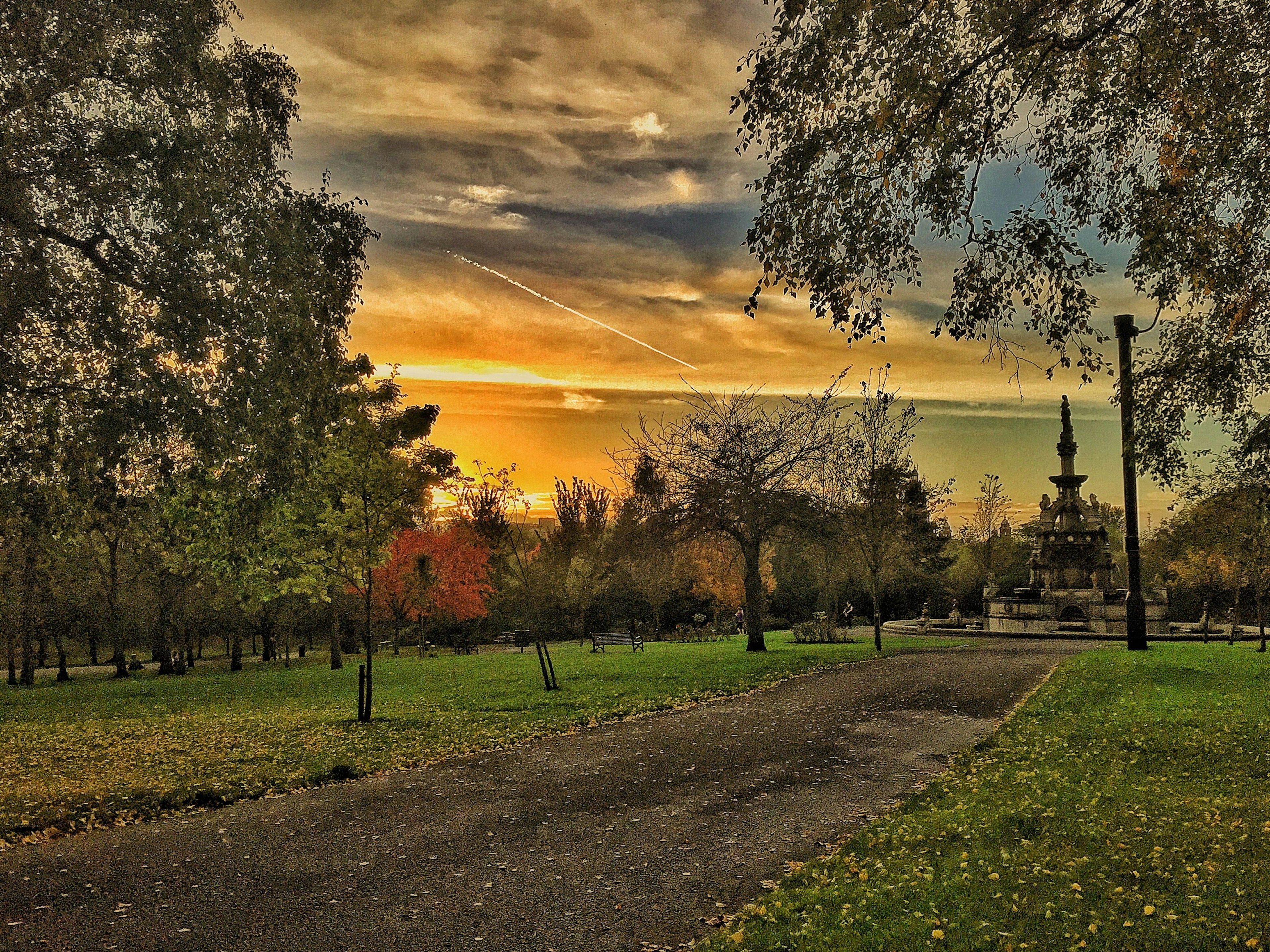 A footpath in Kelvingrove Park with fallen yellow leaves and autumnal trees.