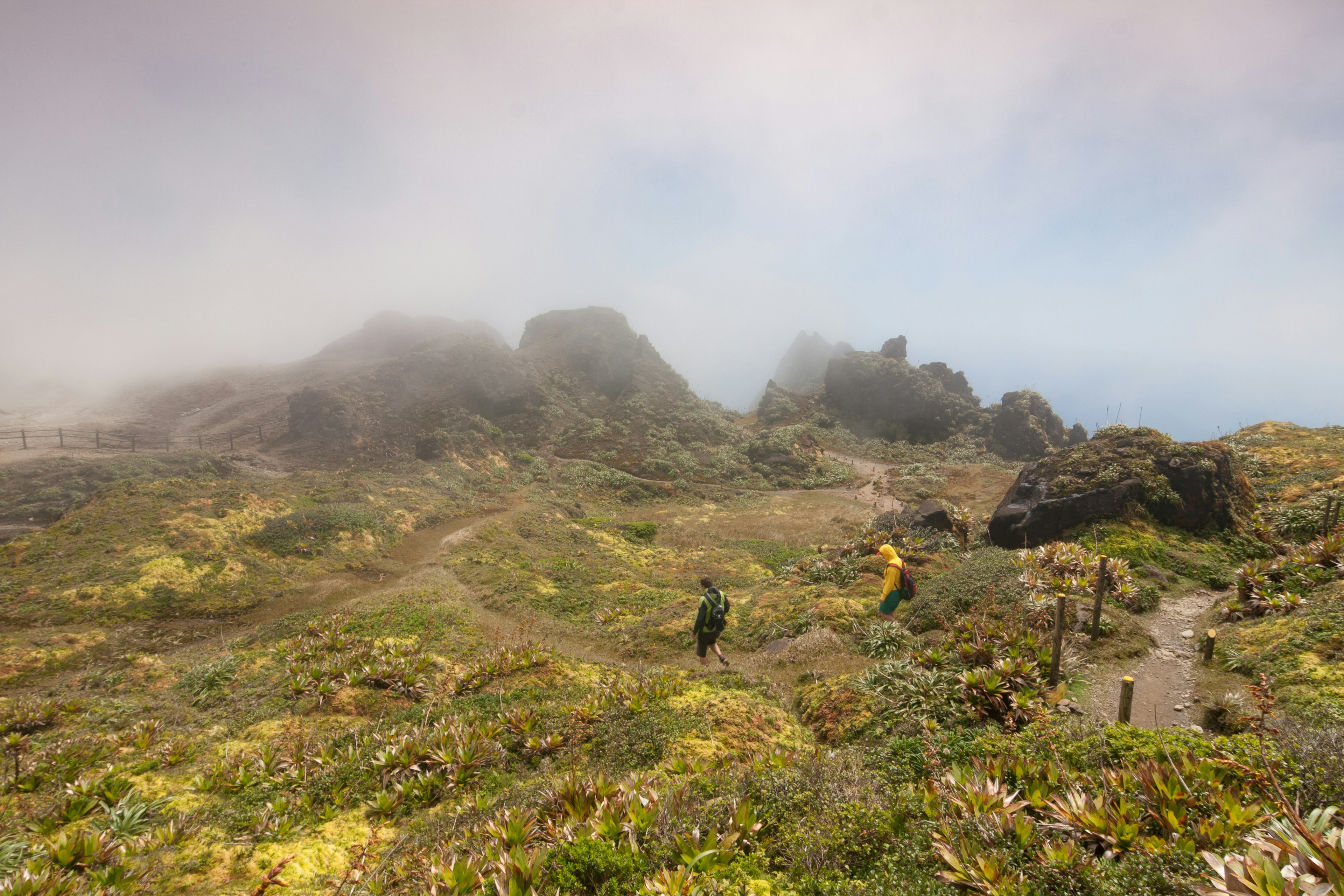 Hiker on a foggy day walking trails on a volcano on Basse-Terre.