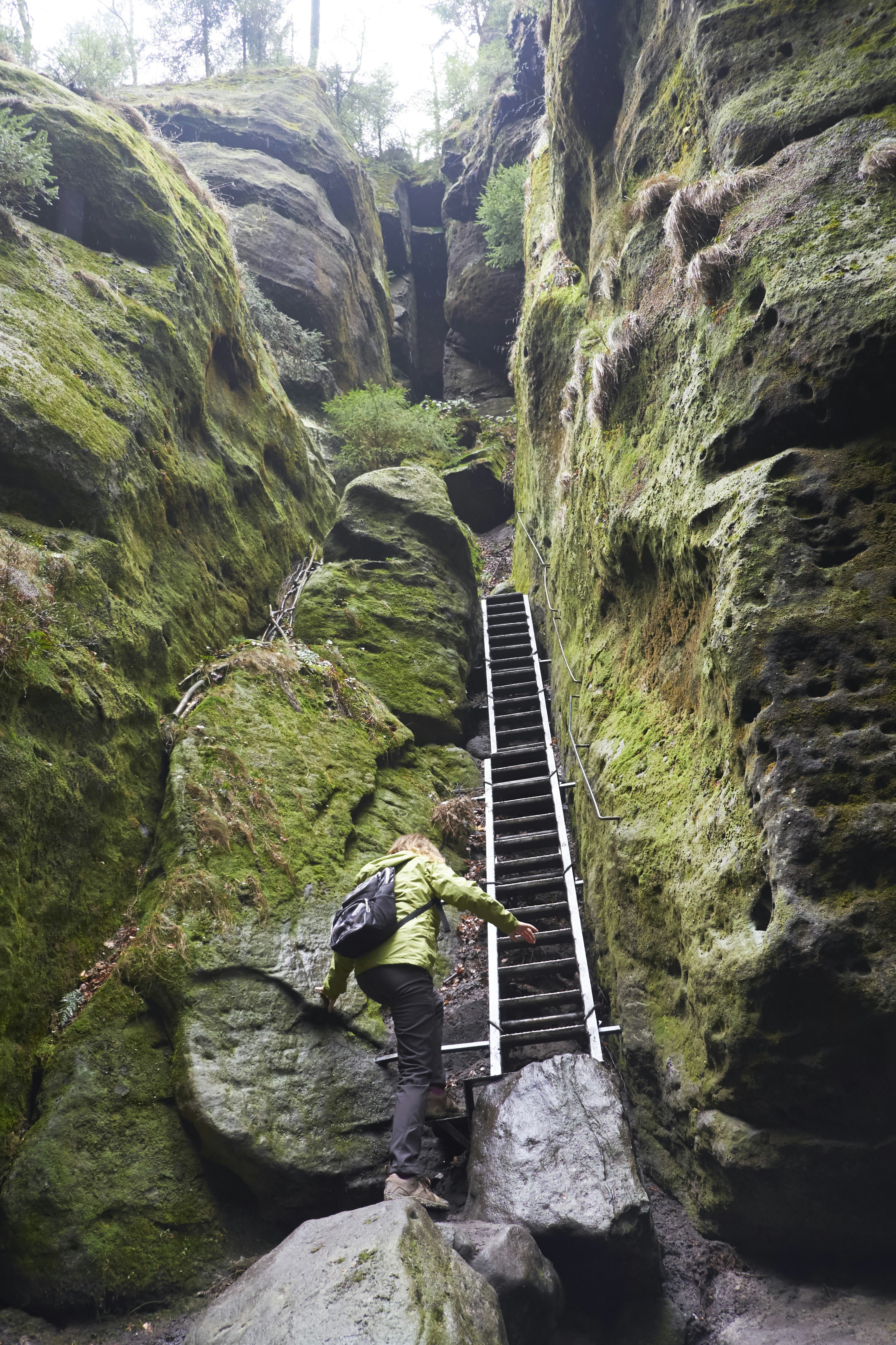 A woman wearing a backpack and goretex outdoor clothing approaches a steep ladder that climbs up moss-covered rocks in a gulley within Saxon Switzerland National Park.