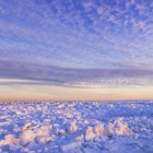 667592711
Getty, RFC, Landscape, Sunset, Canada, Manitoba, Churchill, Winter, Horizontal, Outdoors, Photograph, Photography, Scenics, Snow, Animal Themes, Animal Wildlife, Animals In The Wild, Churchill - Manitoba, Cloud - Sky, Cold Temperature, Color Image, Dramatic Sky, Front View, Full Length, Horizon Over Land, Hudson Bay, No People, Non-Urban Scene, One Animal, Physical Geography, Polar Bear, Travel Destinations, dramatic sly, Horizon, Nature, Scenery, Sky