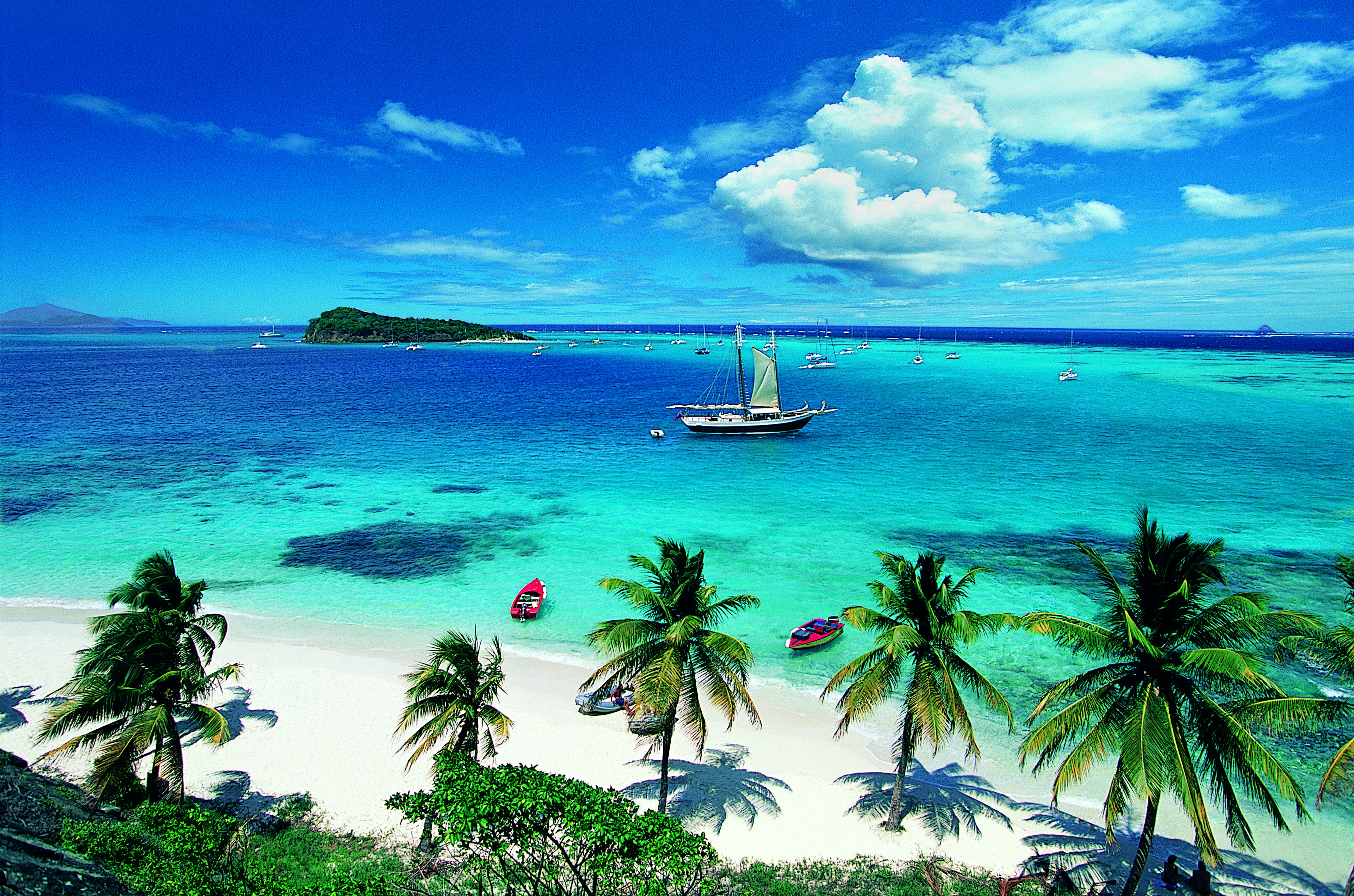 Boats on the Tobago Cayes, palm trees in the foreground and clear skies in the background.