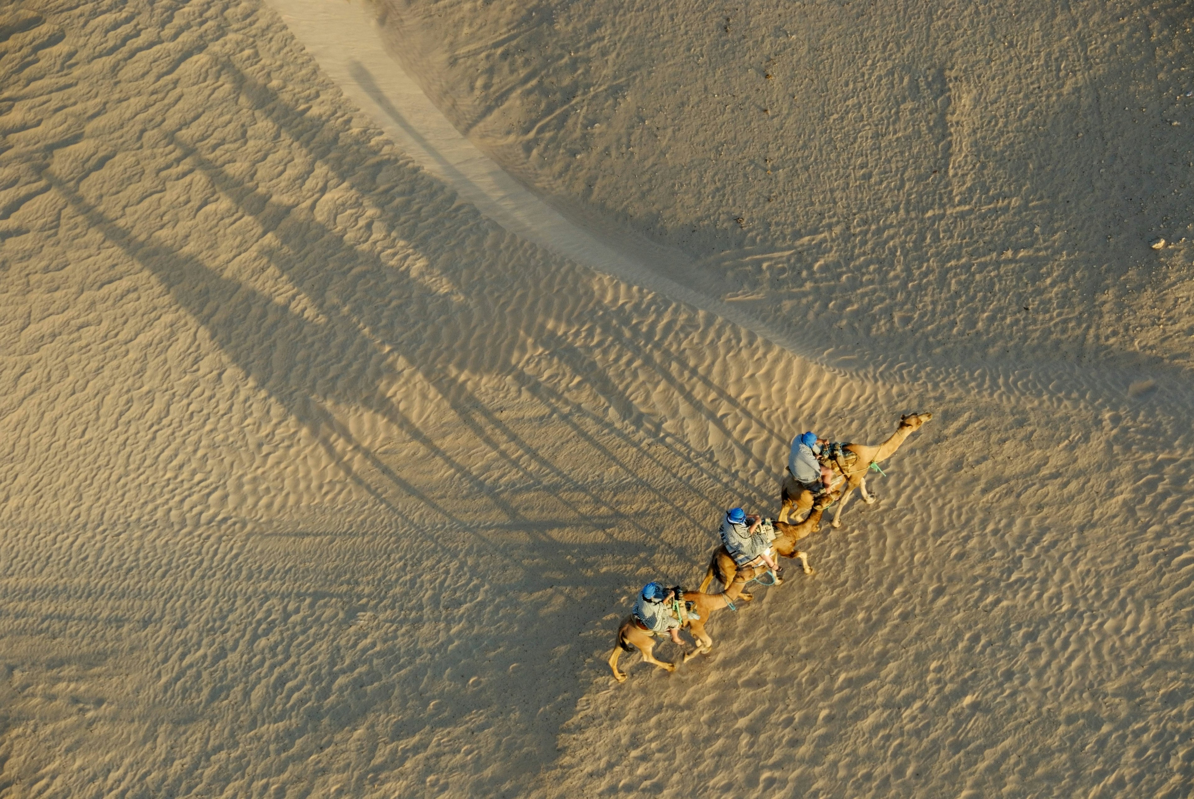 Aerial view of tourists on a camel ride in the Sahara desert, near Douz, Tunisia