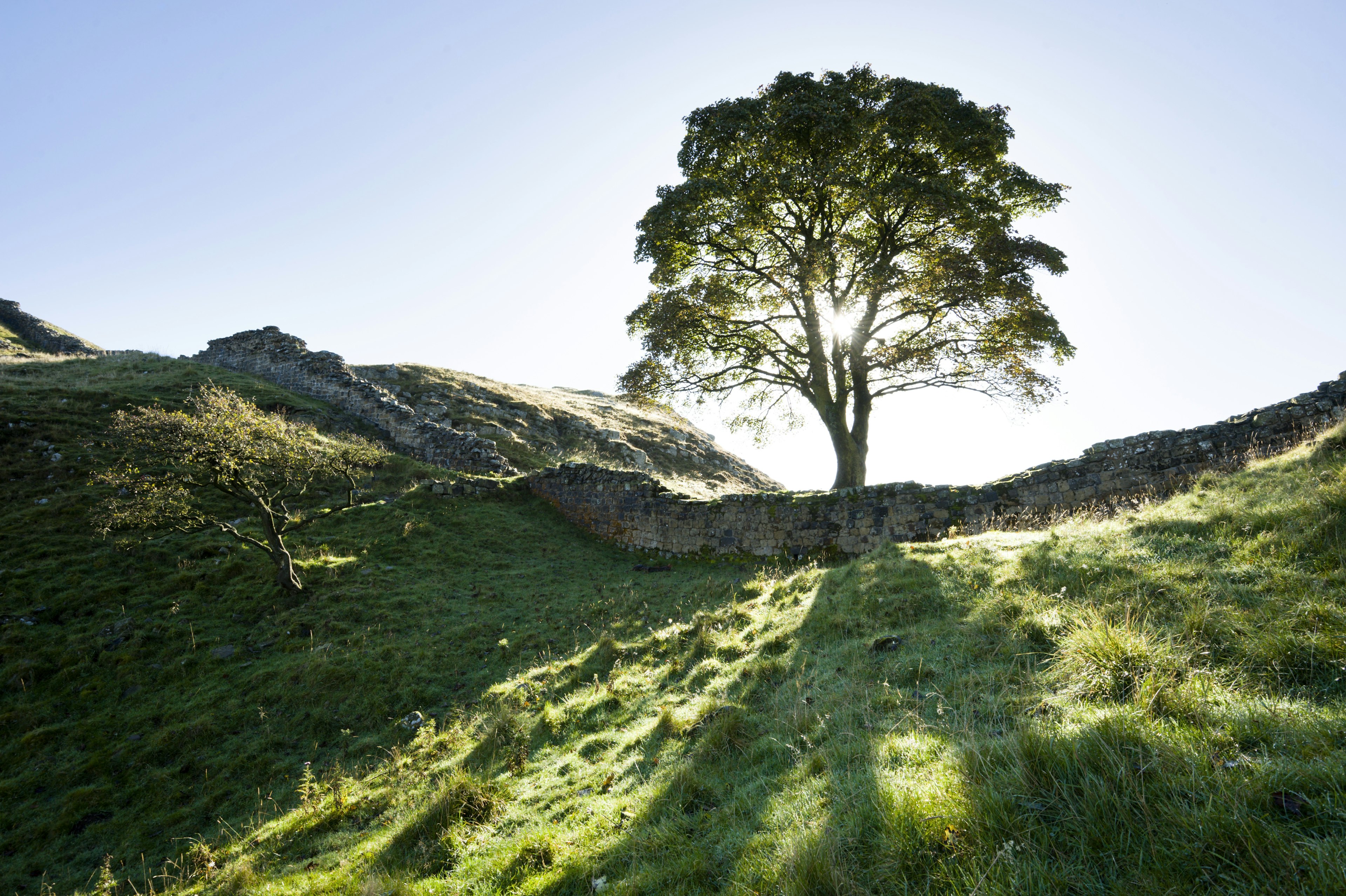 Hadrian's Wall at Sycamore Gap, the sunlight shining through a tree and breaking up shadows on the hills and  grass.