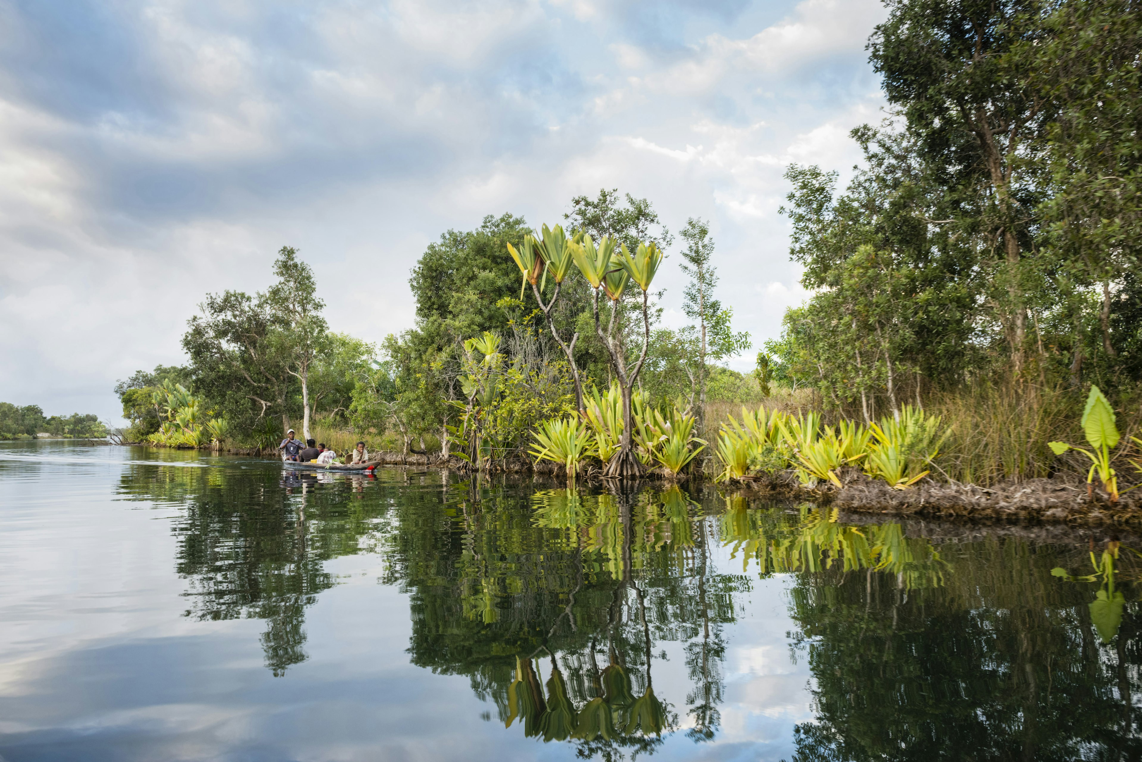 A wooden pirogue floats down a channel of the Pangalanes Canal system.