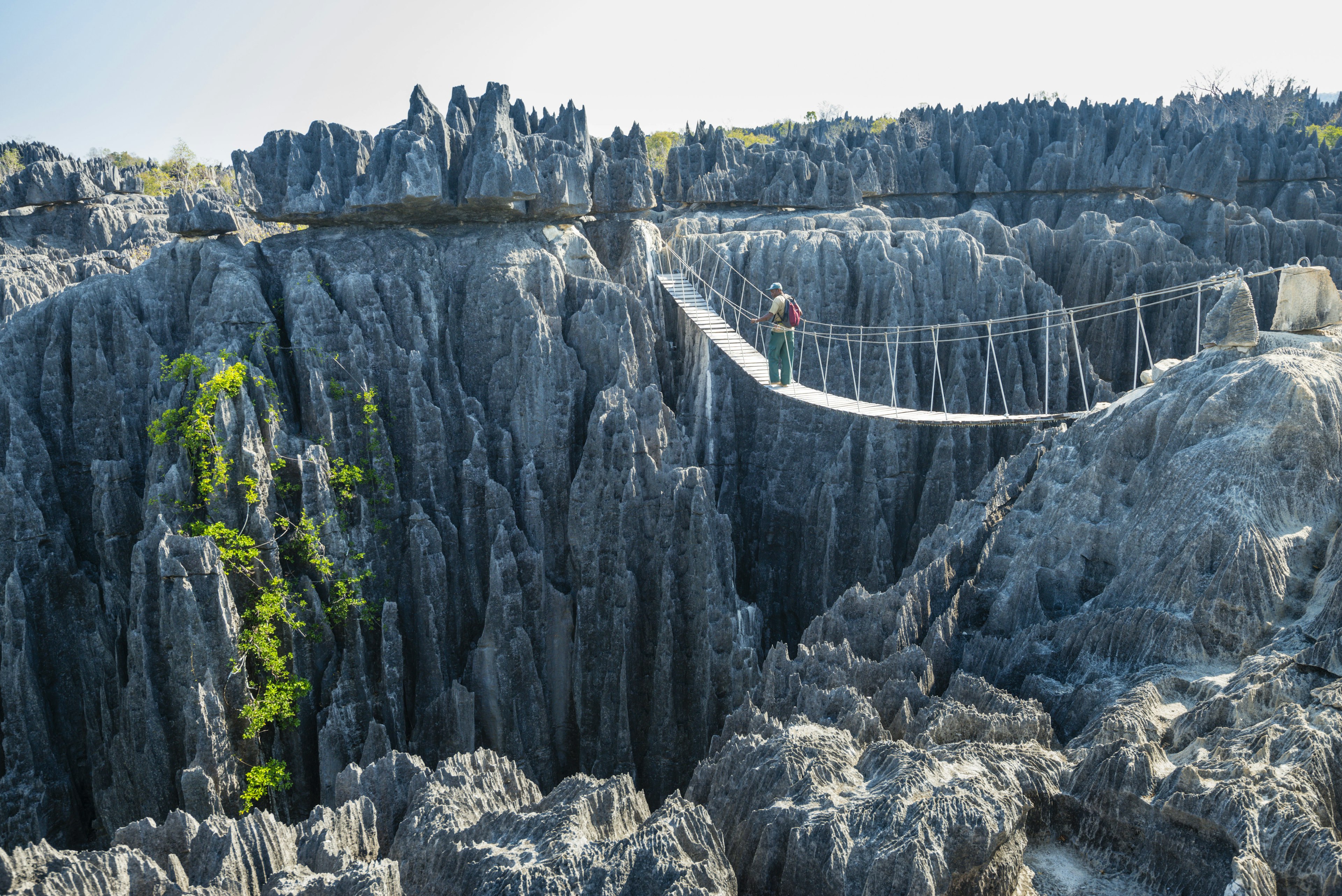 A rope bridge spanning a canyon in Unesco-listed Grand Tsingy, the world's biggest 'stone forest'.