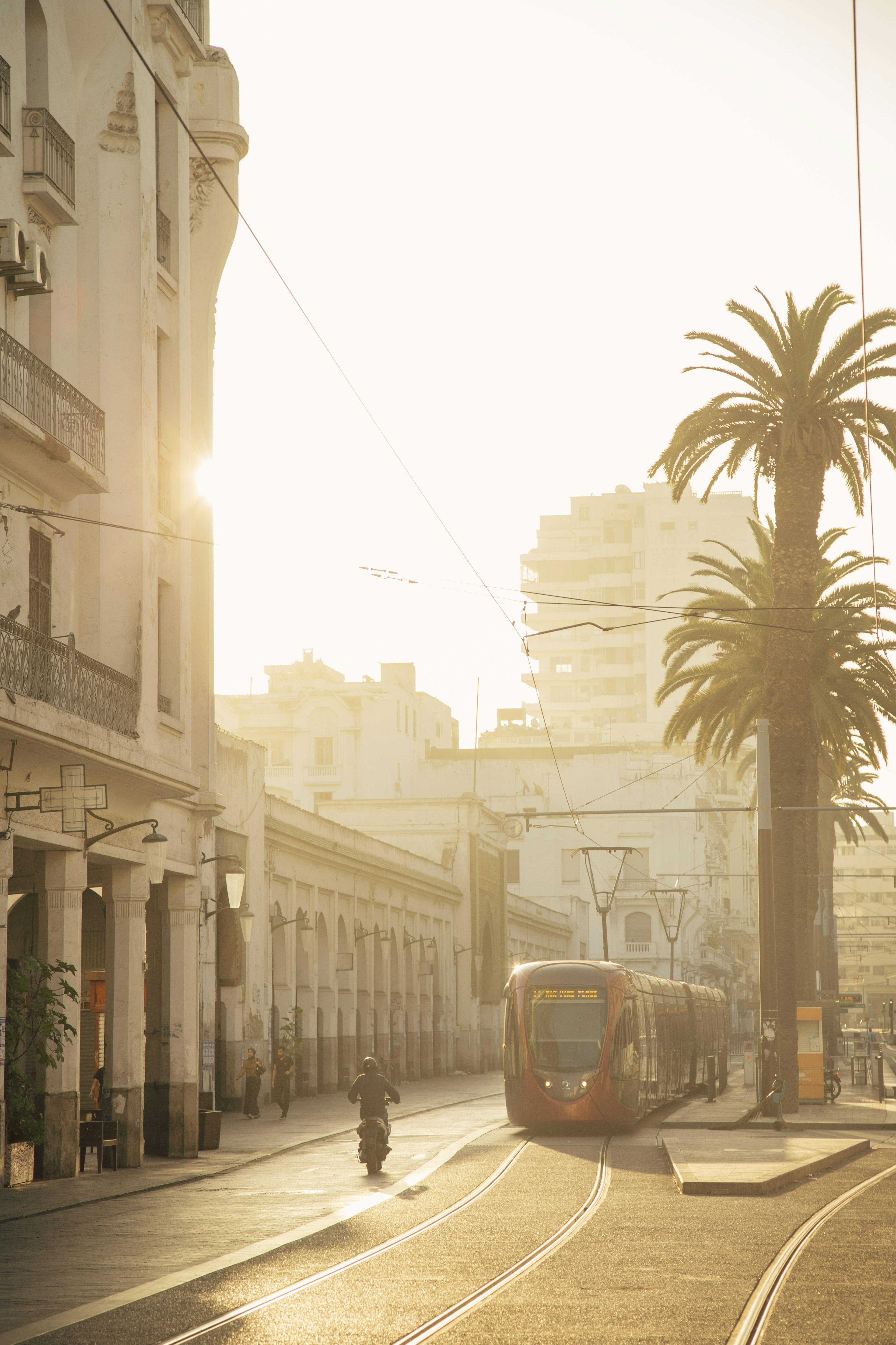 A modern tram on one of Casablanca's historic streets, lit by golden hour sun.