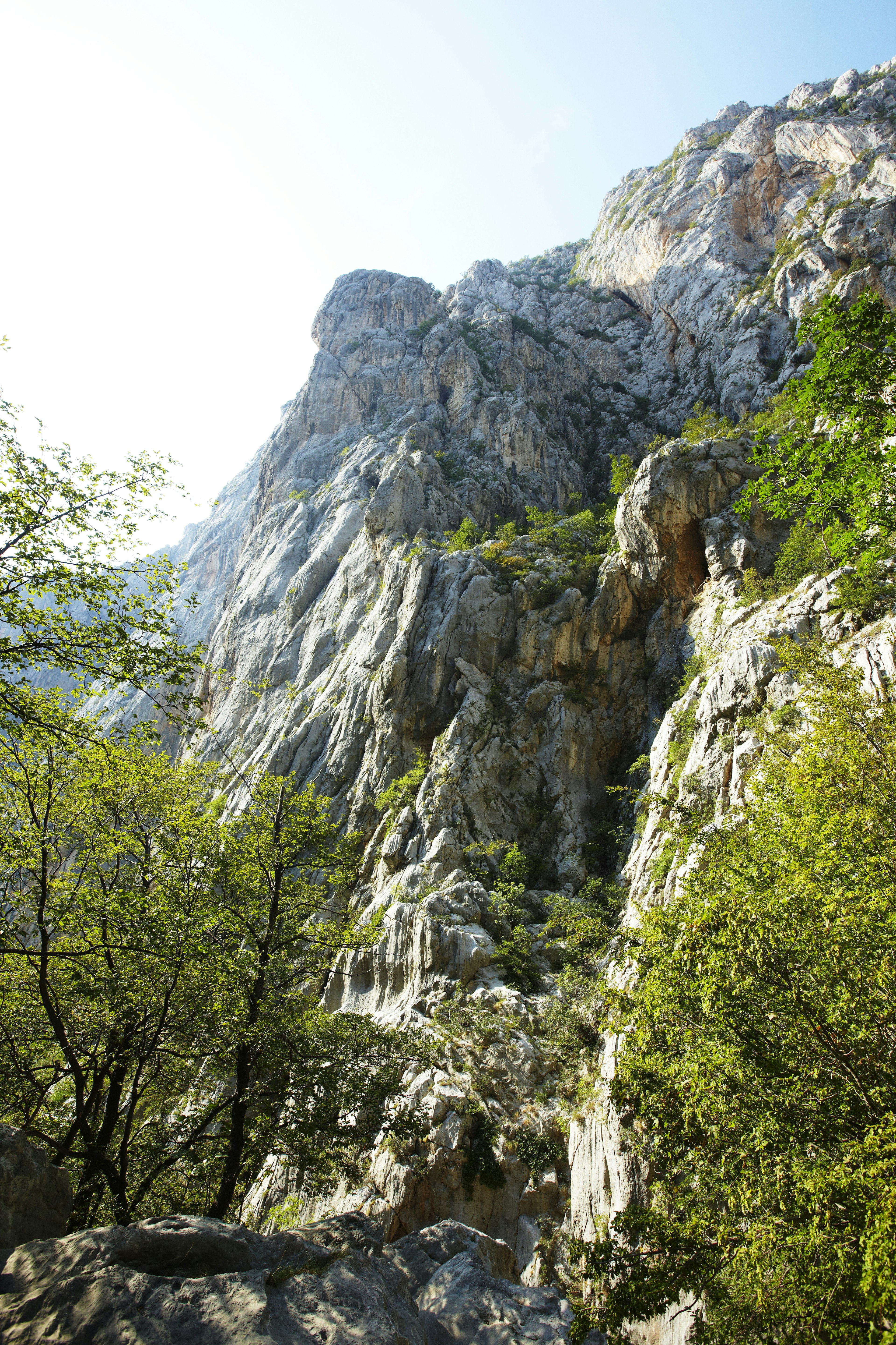 Rocky canyon walls in Paklenica National Park