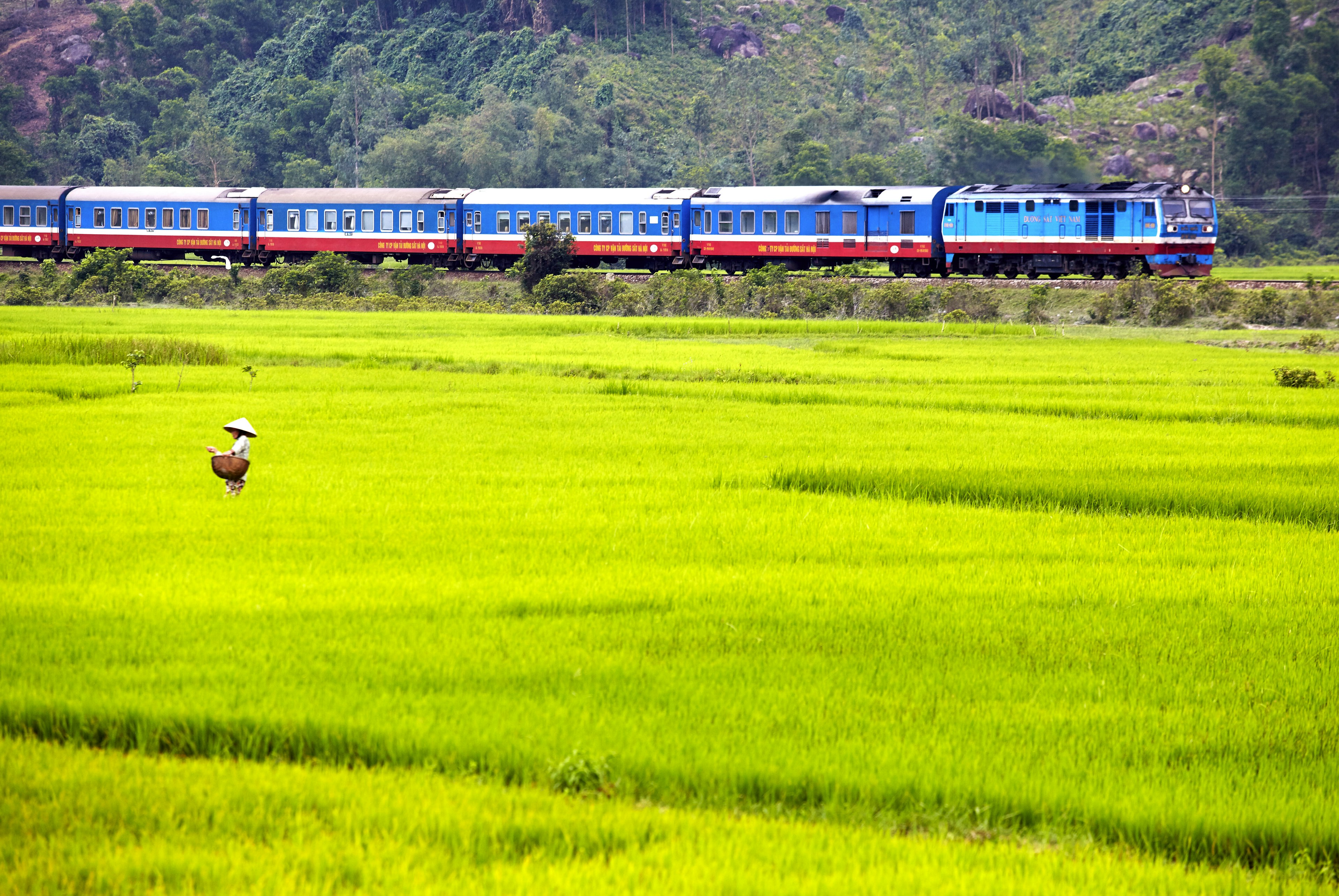 The Reunion Express train passing rice paddies between Hue and Hoi An.