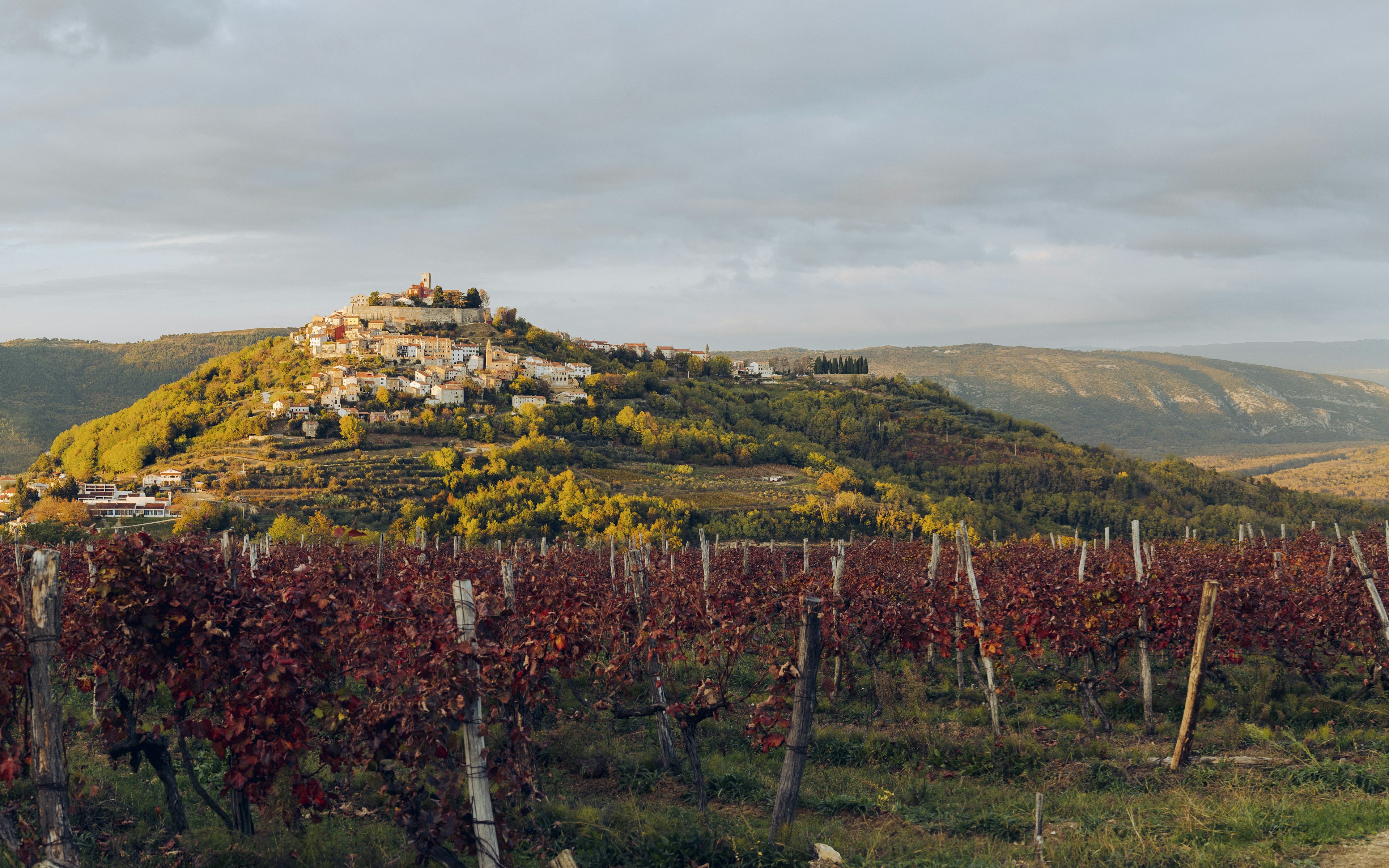 Light shines on a hilltop town surrounded by vineyards at sunset