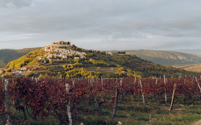 Light shines on a hilltop town surrounded by vineyards at sunset