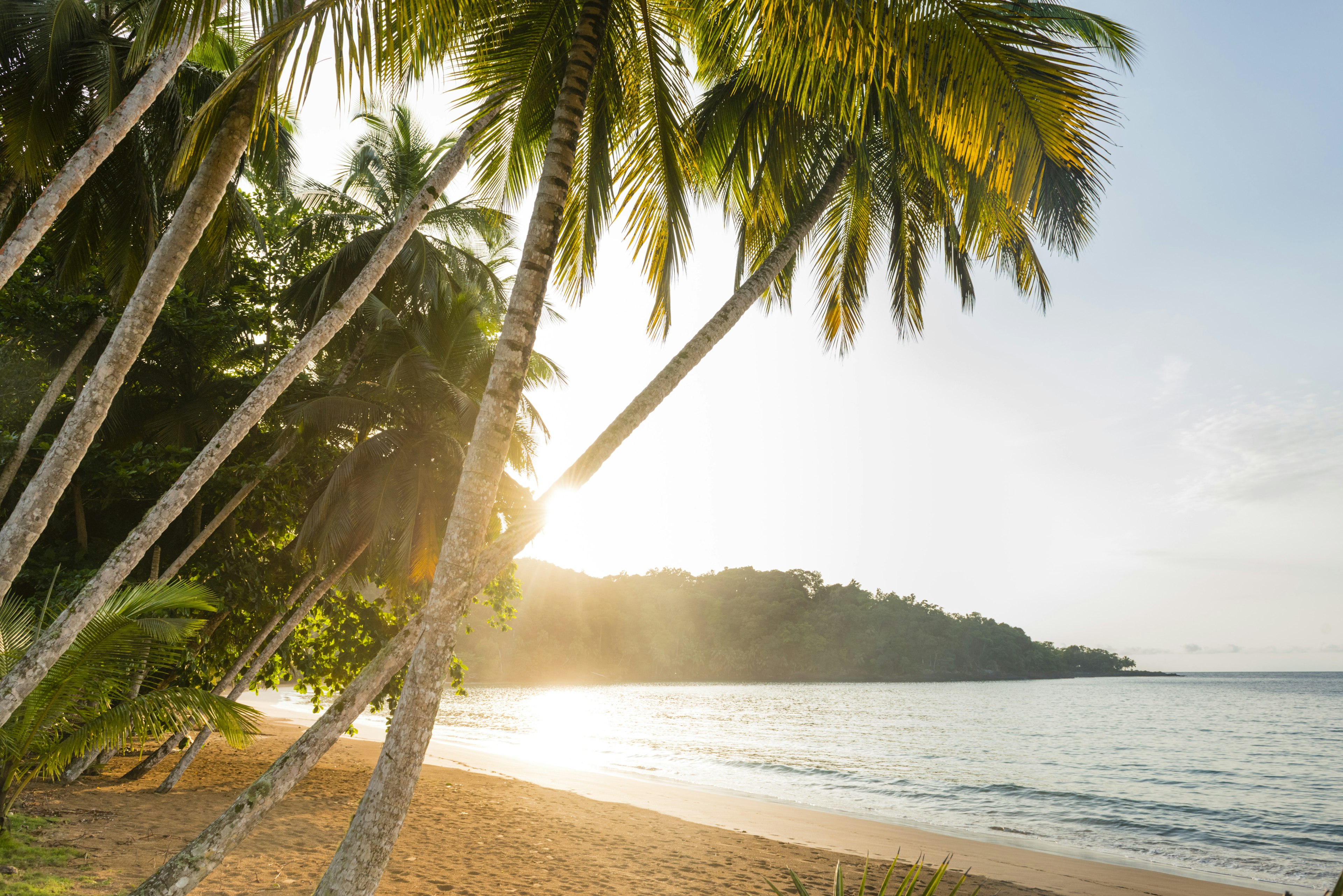 The sun sets through the palm trees over the beach on Príncipe. The sea is calm and the forest at the end of the beach is silhouetted