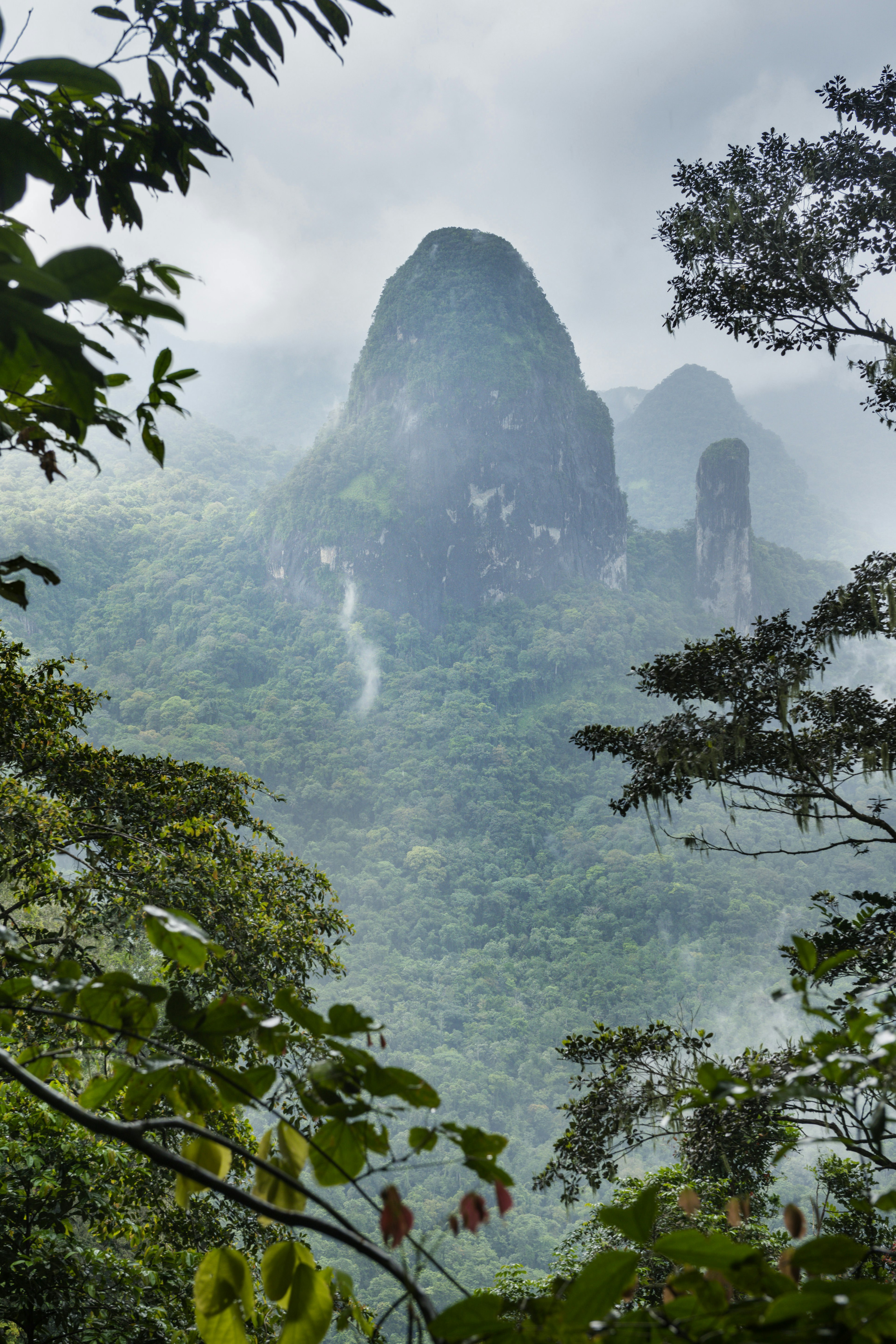 Looking out through a frame of vegetation, two volcanic plugs rise out of the forest and mist