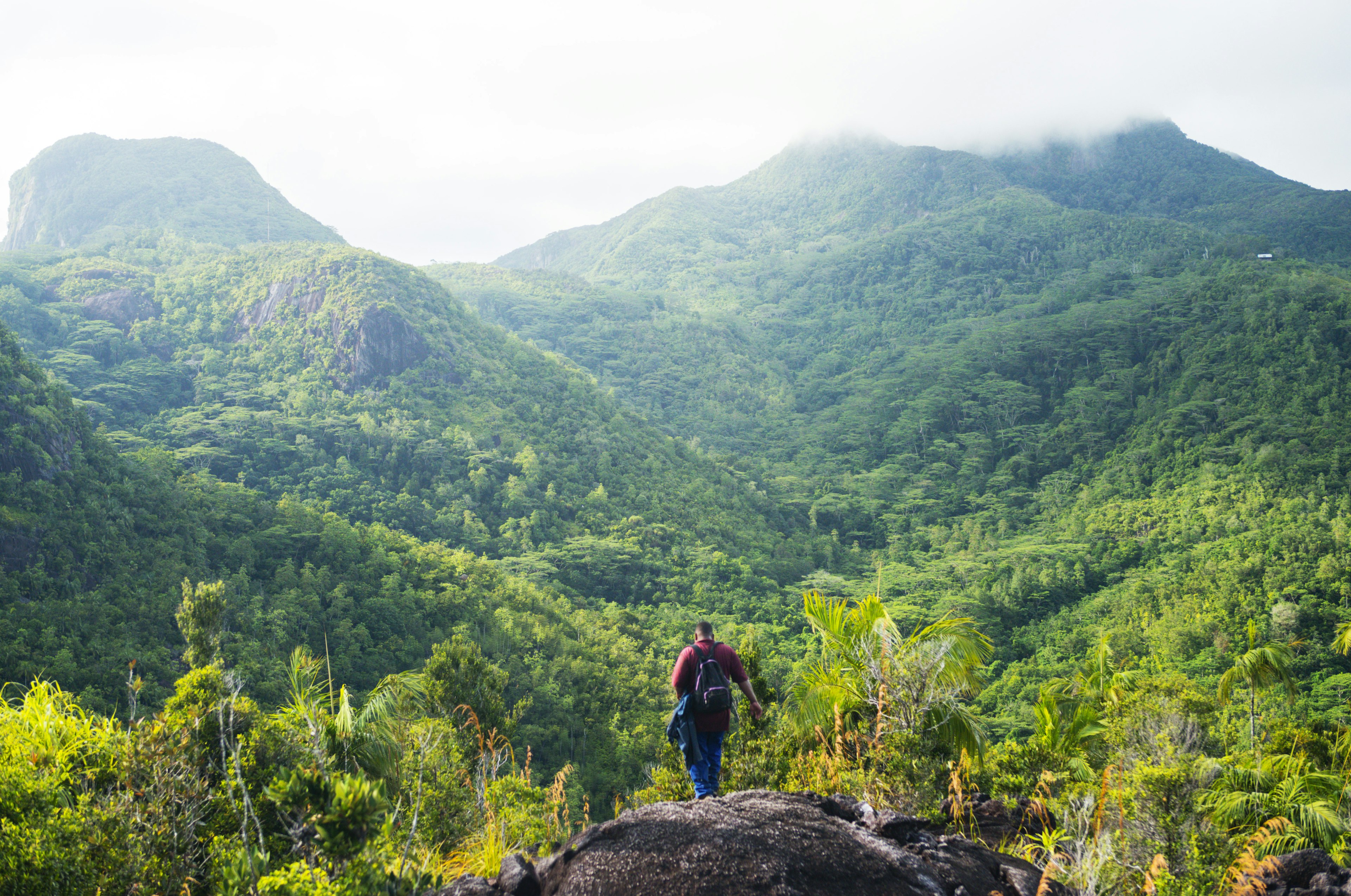 A man descends a rock outcrop into a dense forest which carpets the hills in the distance