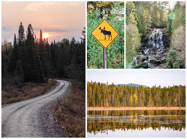 Lake Francis State Park is your gateway to Moose Alley. Lauren Breedlove for Lonely Planet