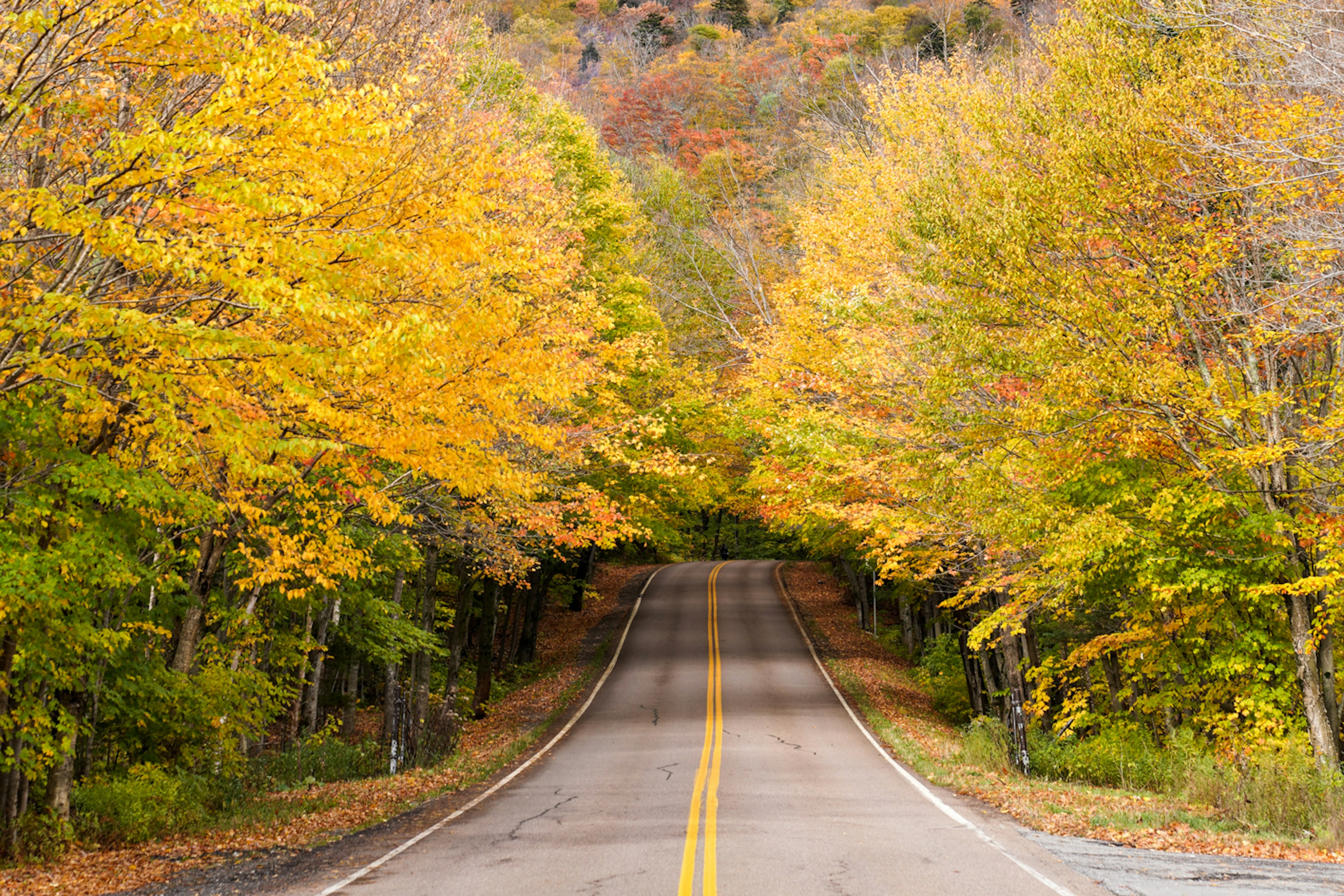 Fall colors and an empty country road near Stowe, Vermont. Lauren Breedlove for Lonely Planet