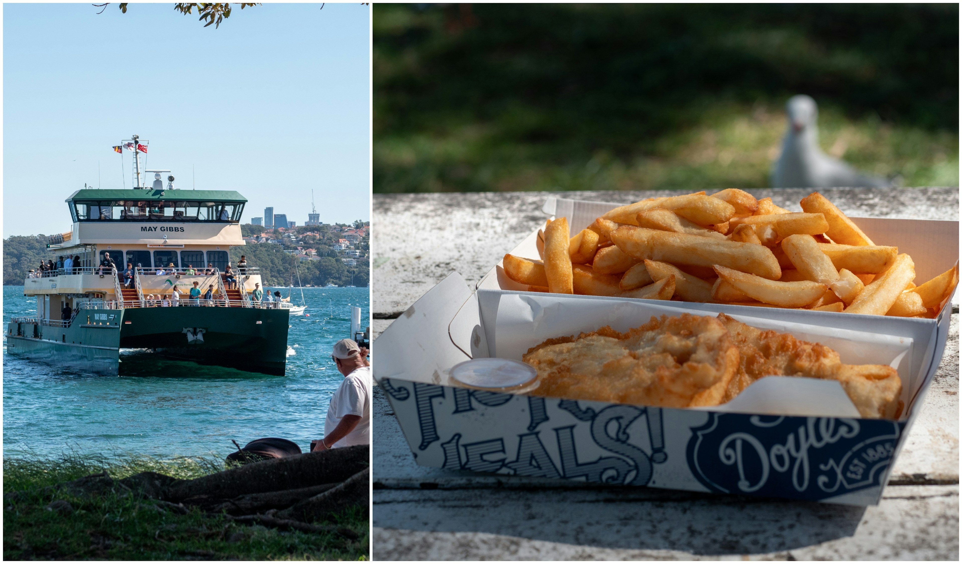 Sydney images with a ferry on Sydney harbor on the left and a close up of Doyles Fishermans Wharf Takeaway at the Watsons Bay on the right.