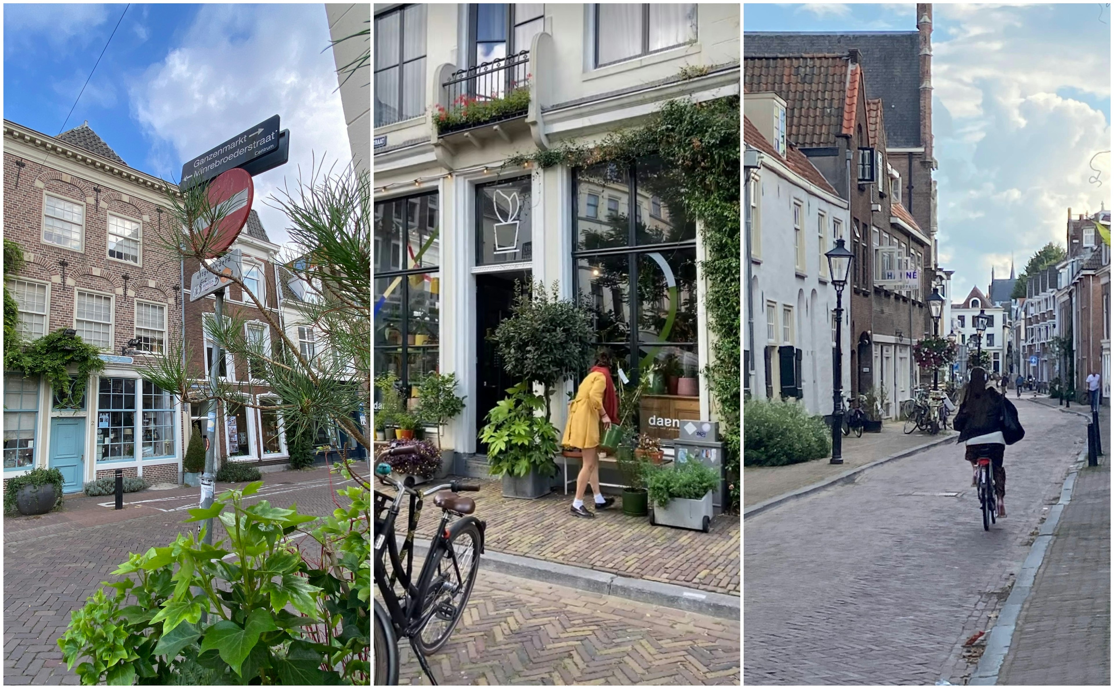 Utrecht's shopfront decorated with plant boxes and hanging baskets