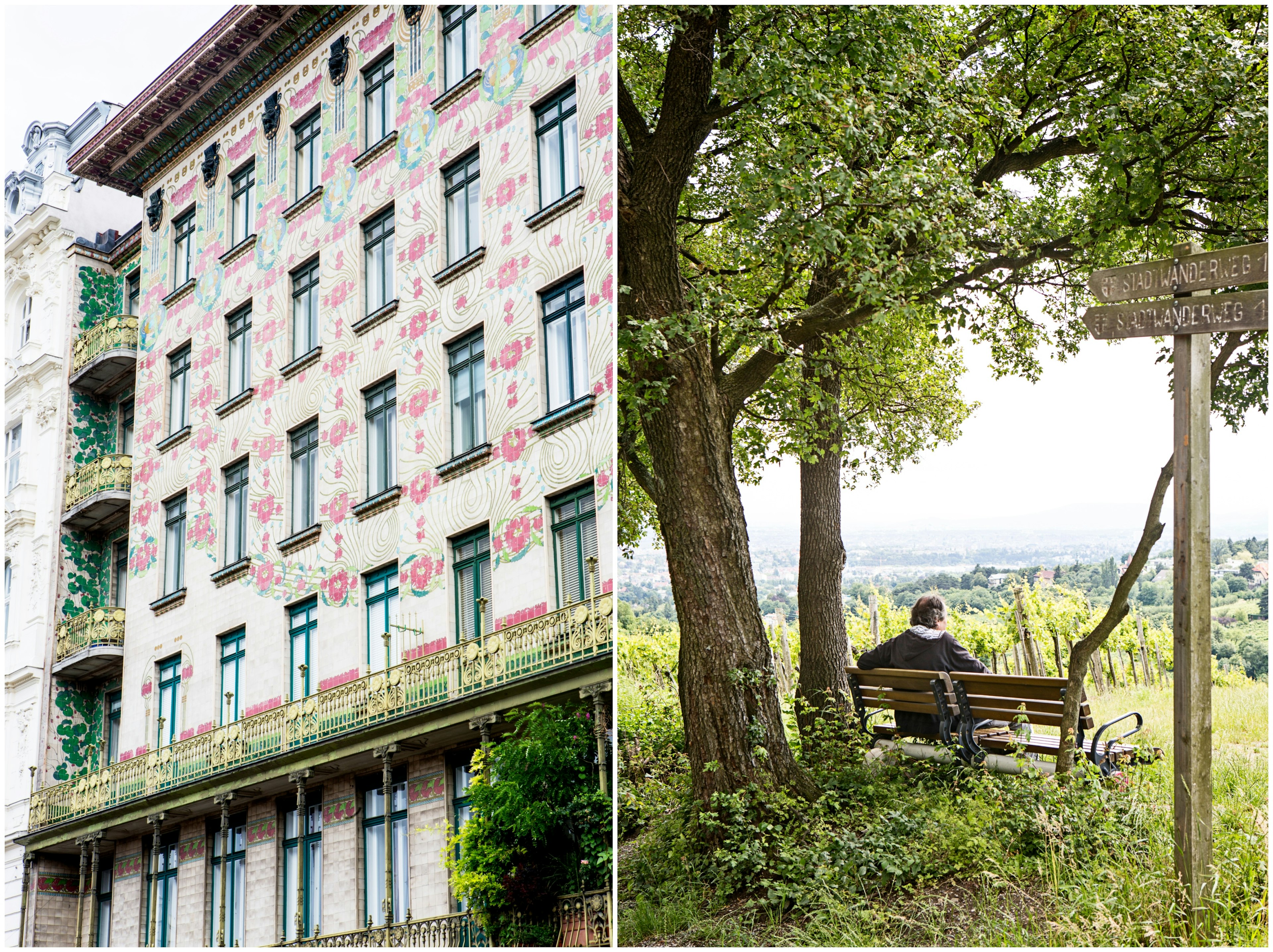 Left: Floral-patterned Majolikahaus is a classic example of turn-of-the-century Vienna secession architecture.
Right: The walk down to Sirbu offers plenty of opportunities to pause and admire the views across the vineyards