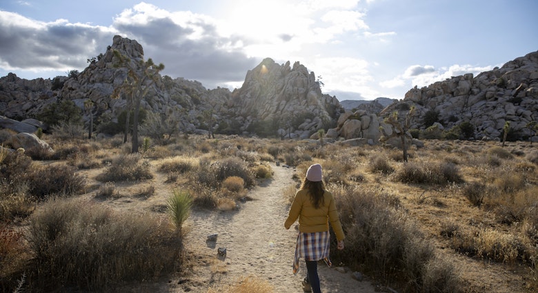 Hiking in a desert near Palm Springs
1277420202