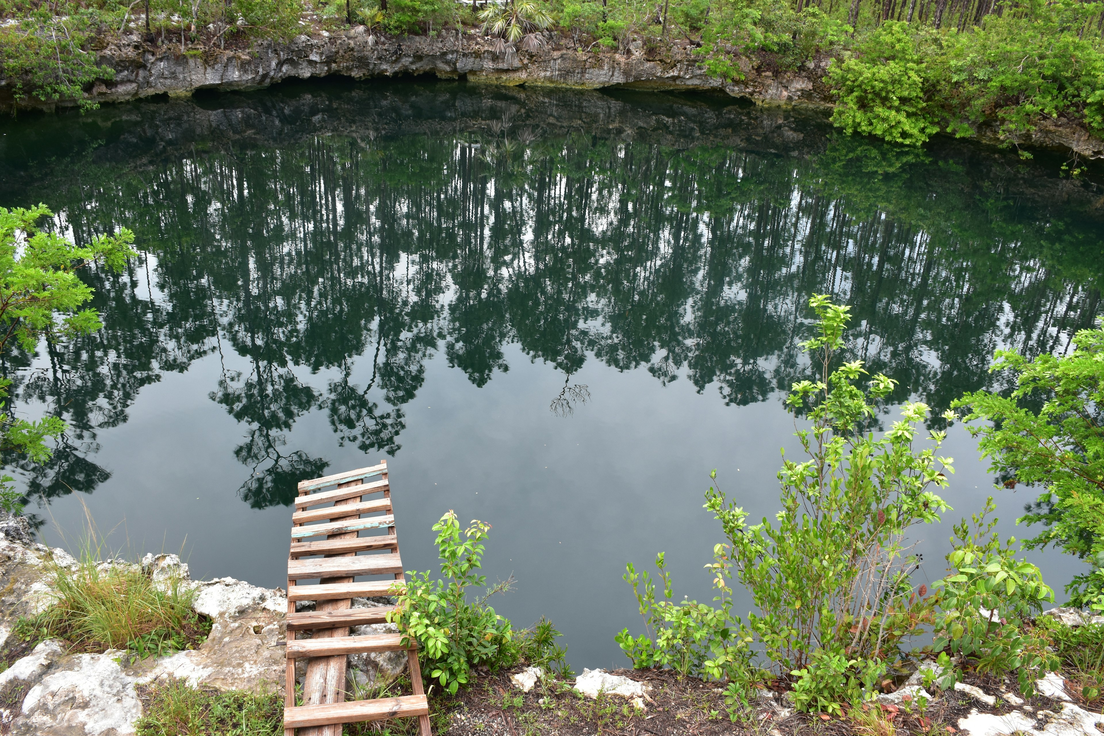 A rickety wooden gangway leads to the water at Uncle Charlie's blue hole in Andros, the Bahamas