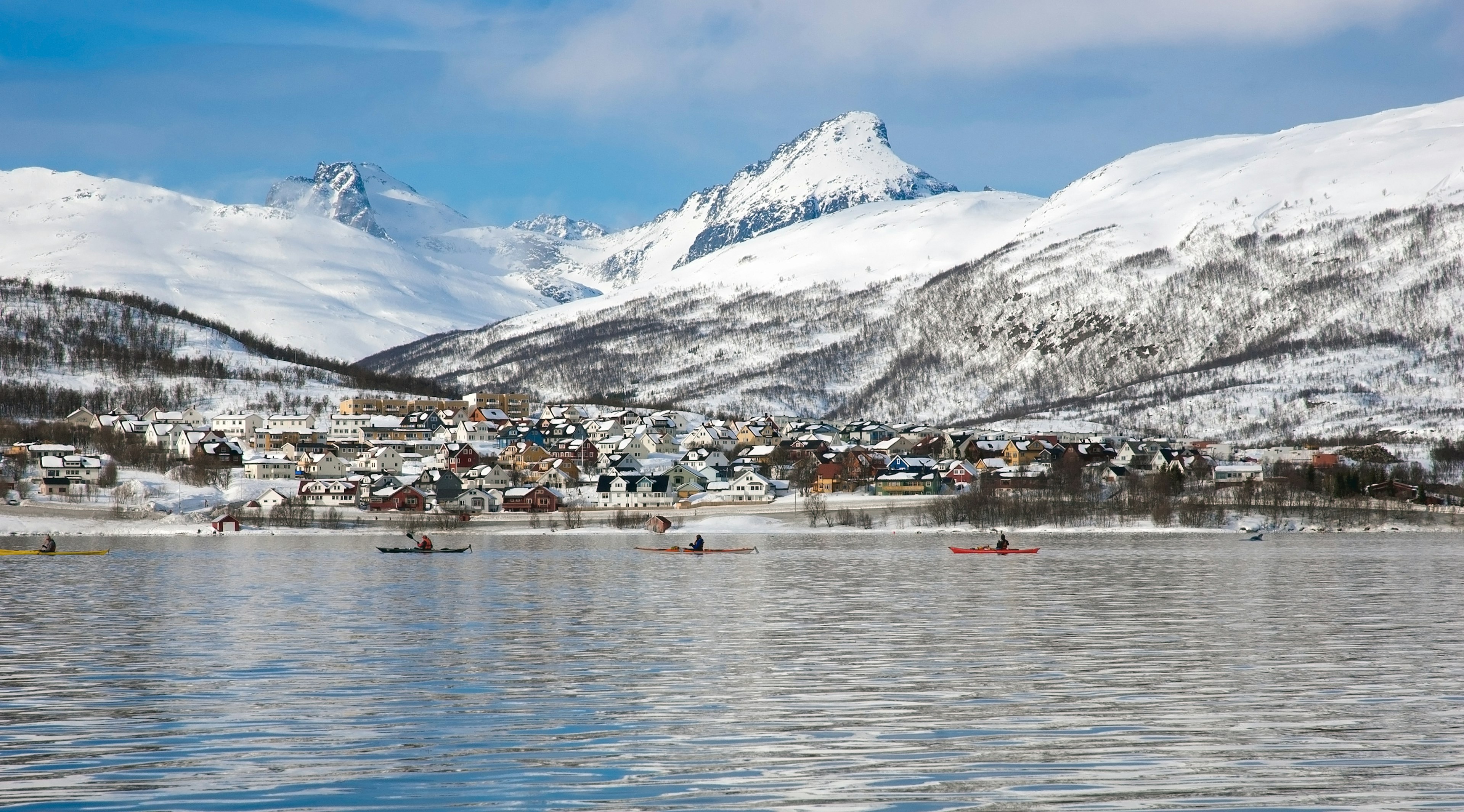 A group of kayakers sail along the edge of a town in a winter landscape