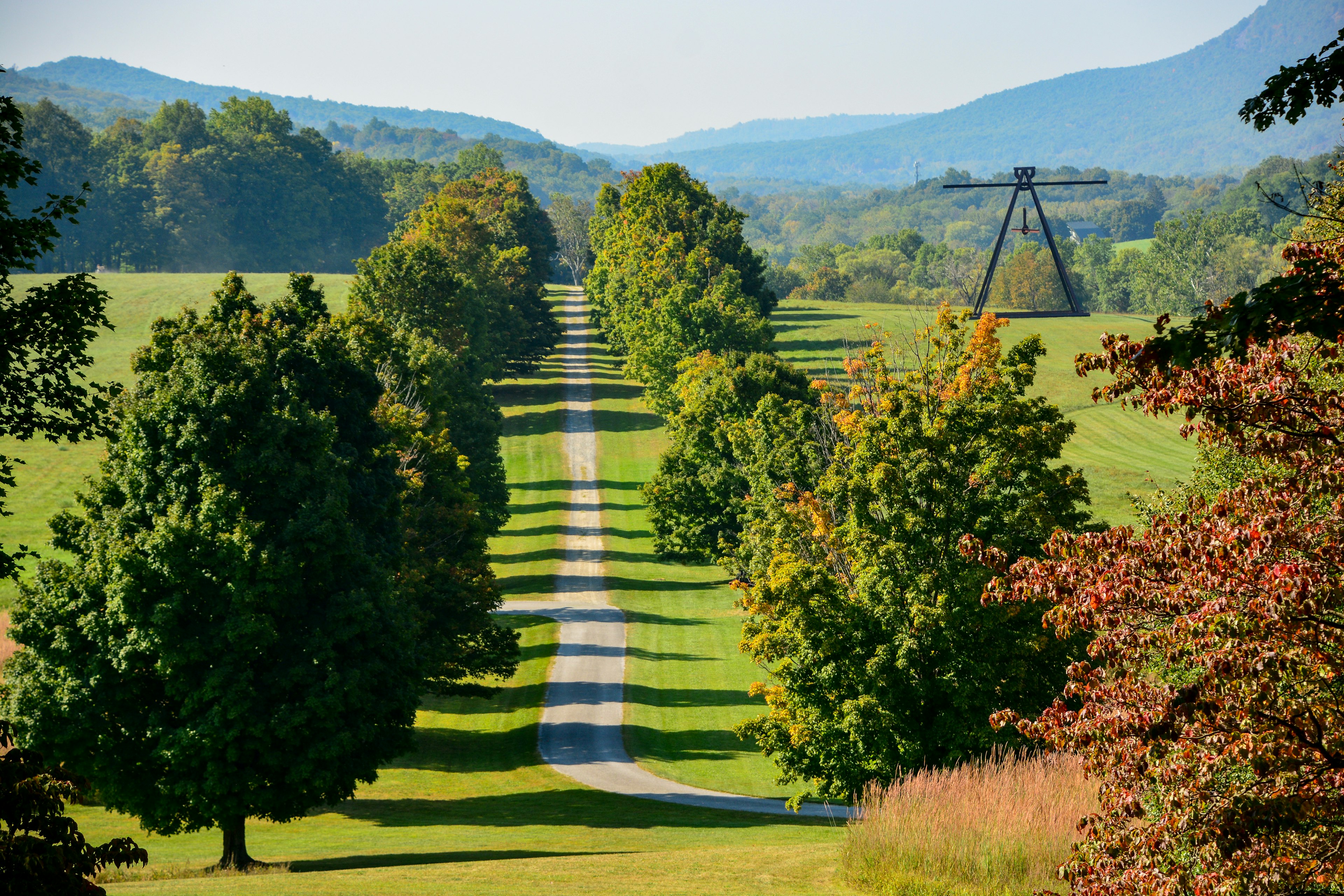 A tree-lined single-track road leads through countryside